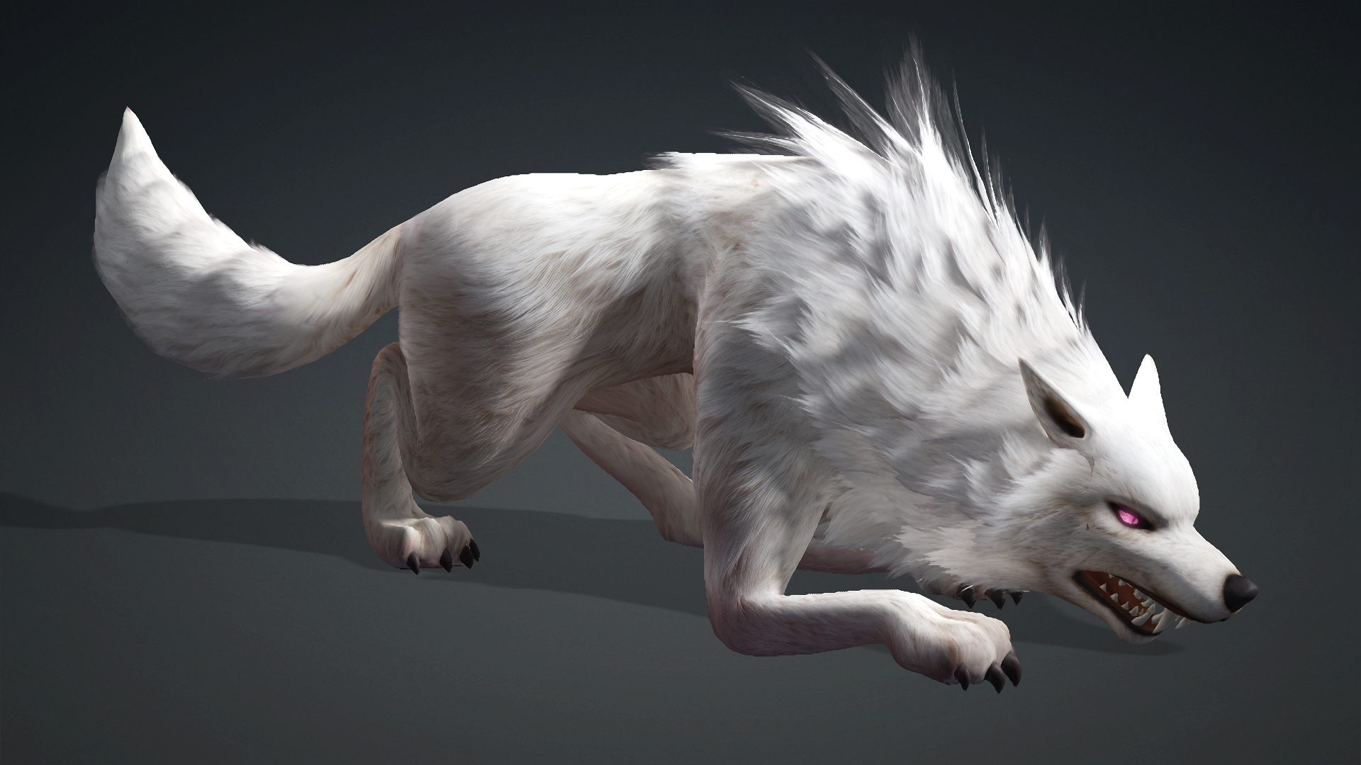 Wolf-C4-Animated 3D Model