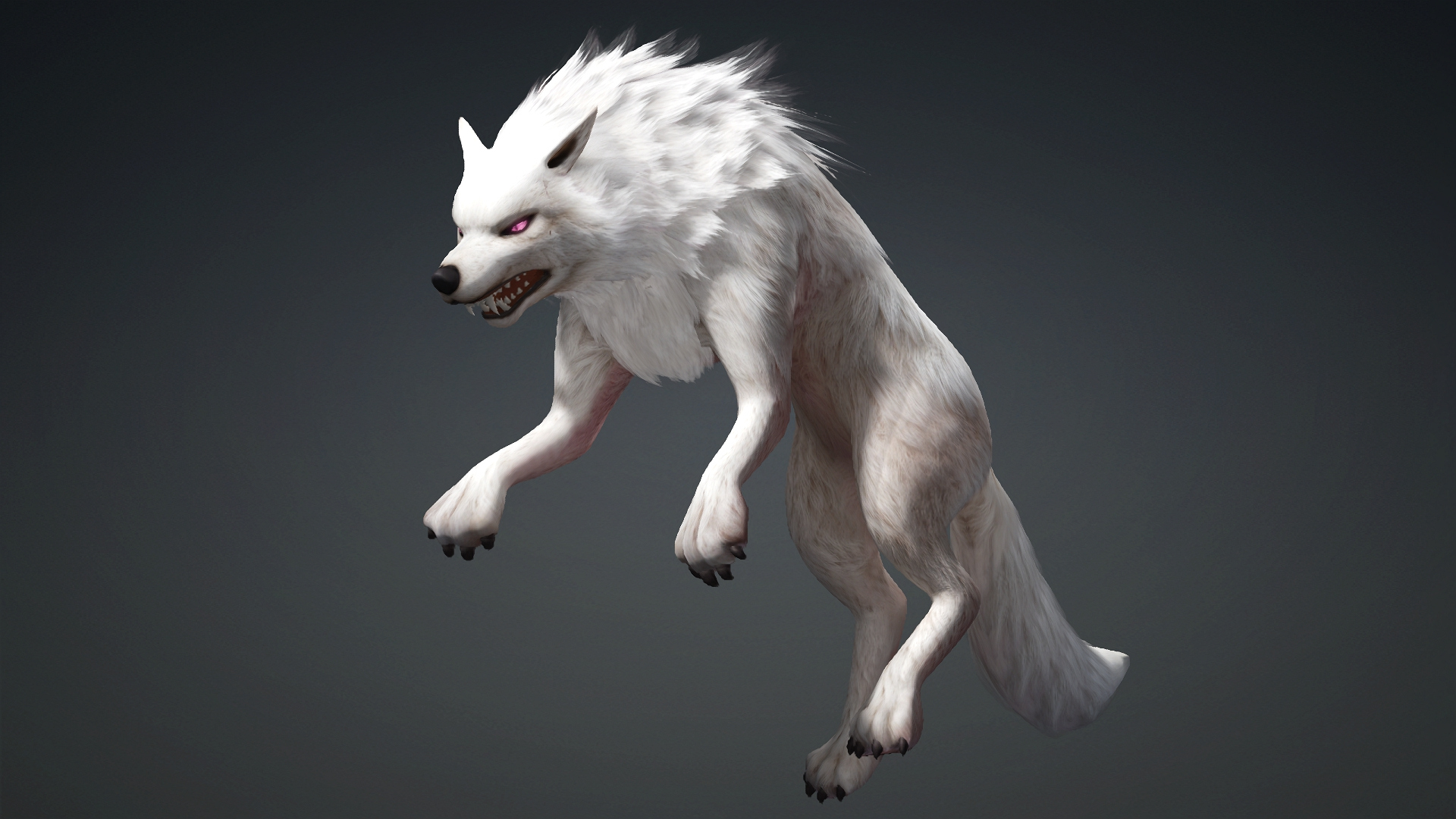 Wolf-C4-Animated 3D Model