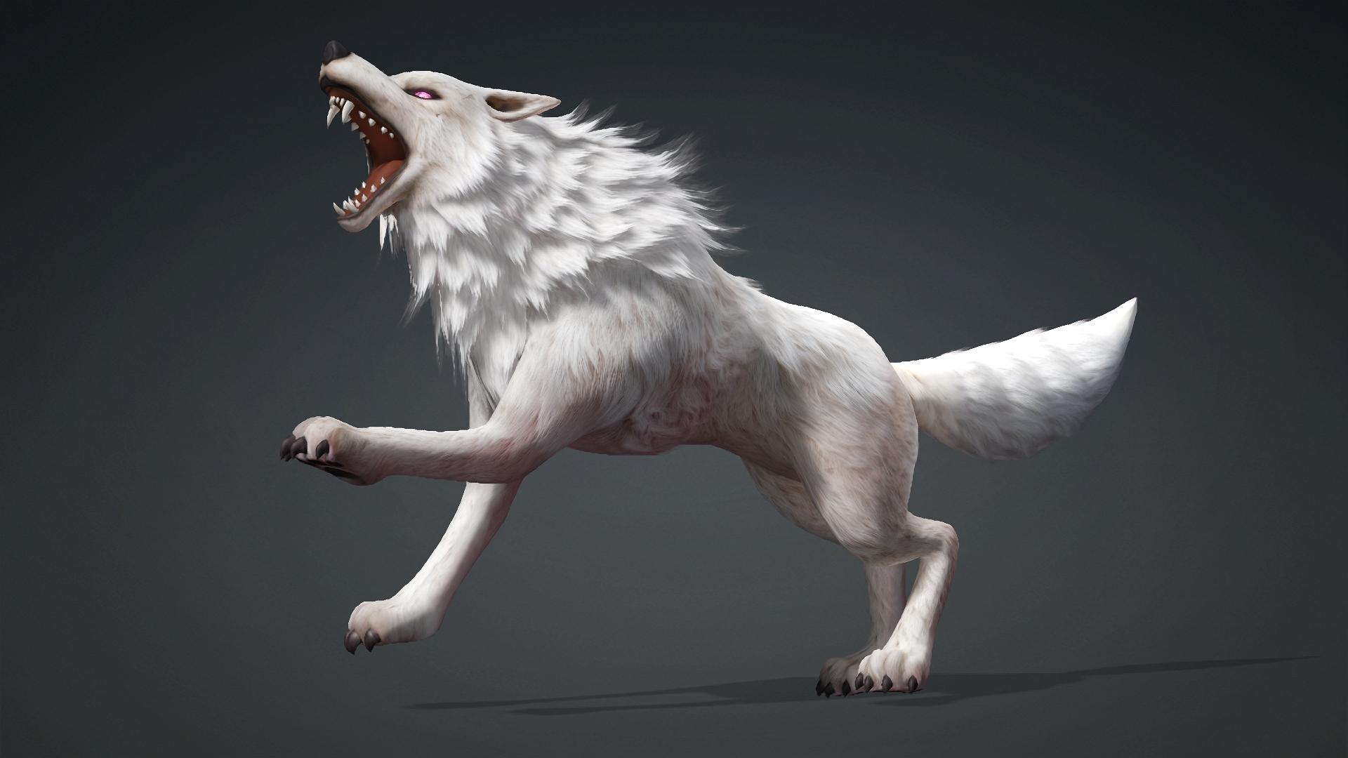 Wolf-C4-Animated 3D Model