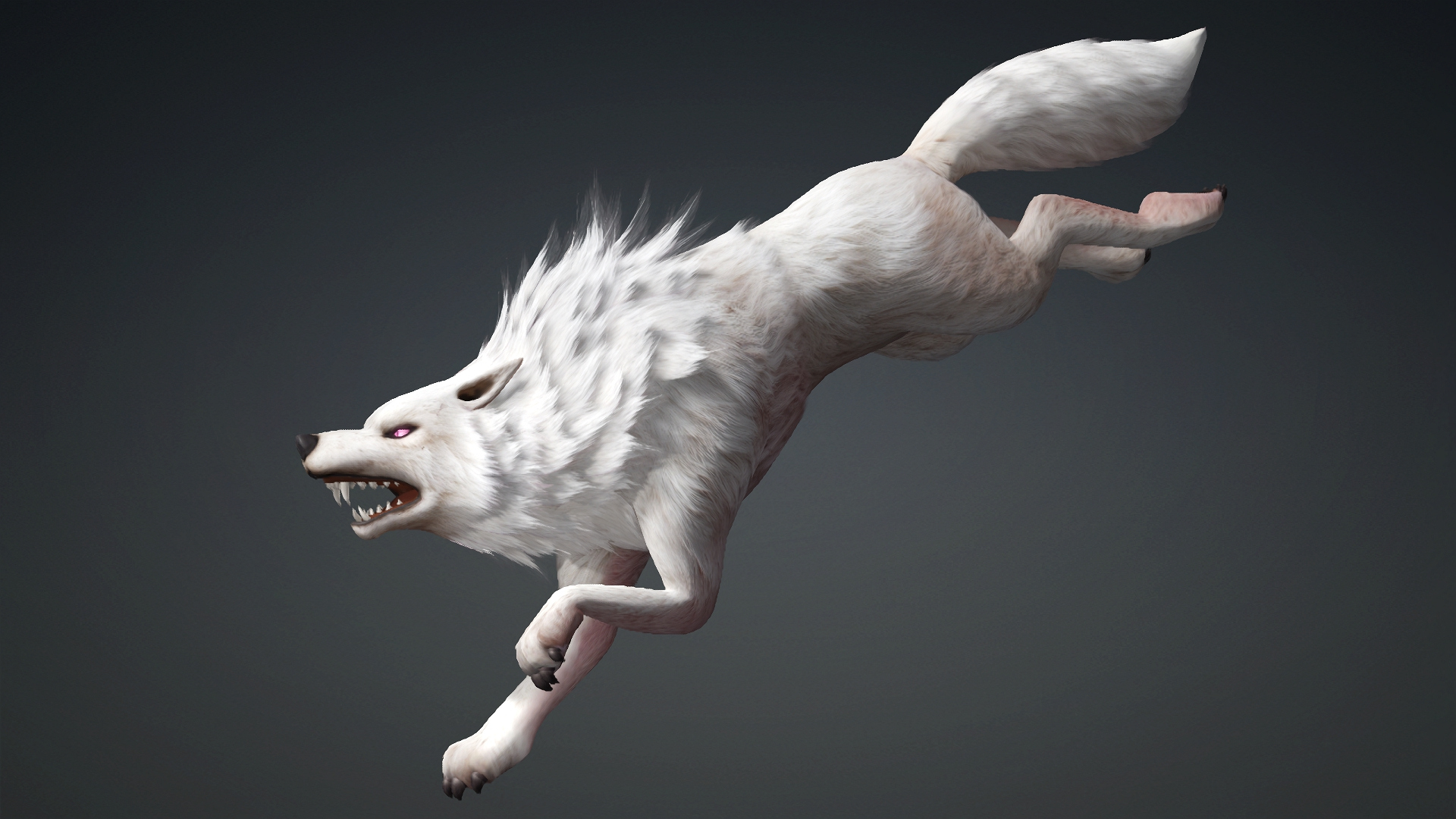 Wolf-C4-Animated 3D Model