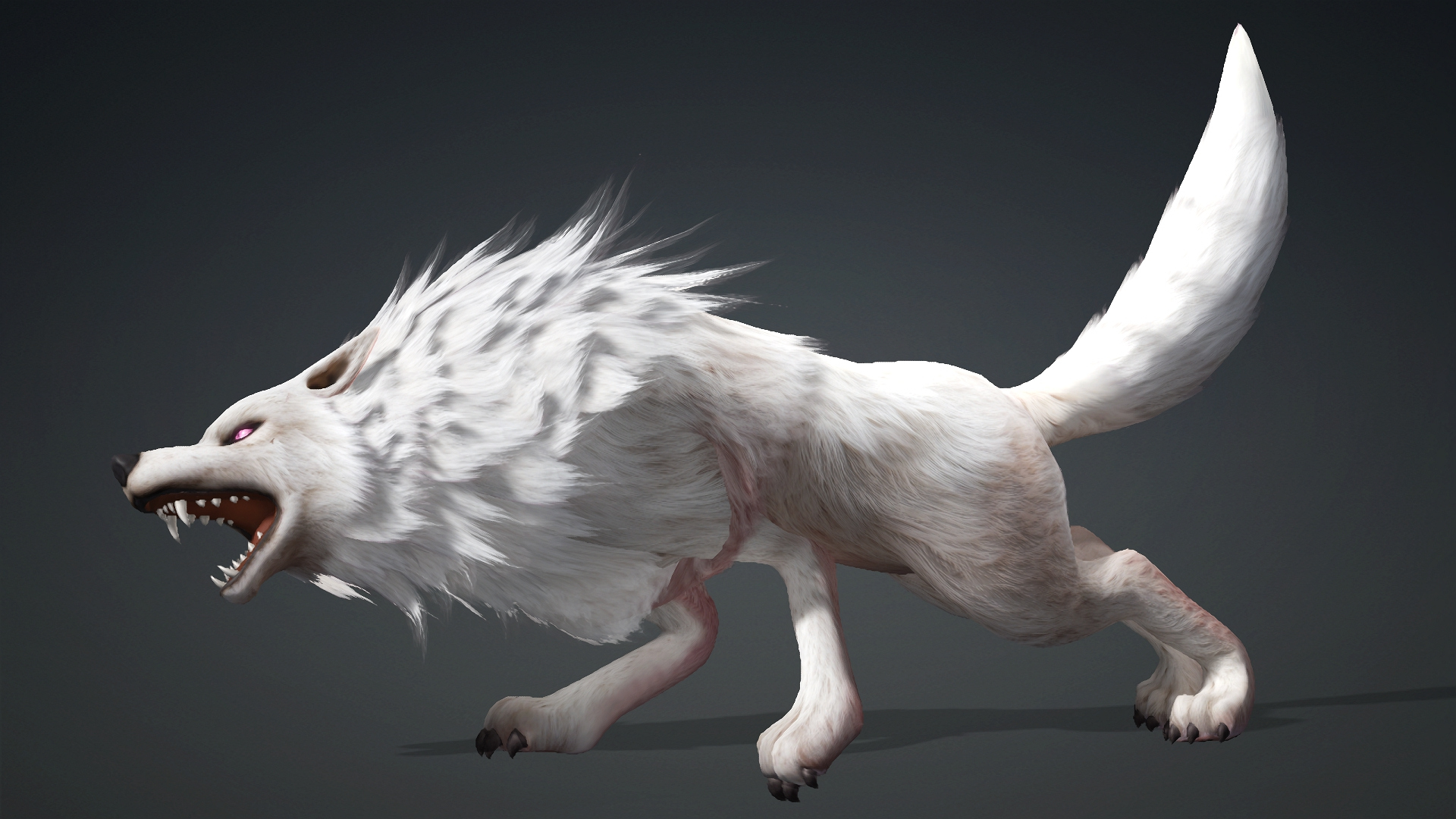 Wolf-C4-Animated 3D Model