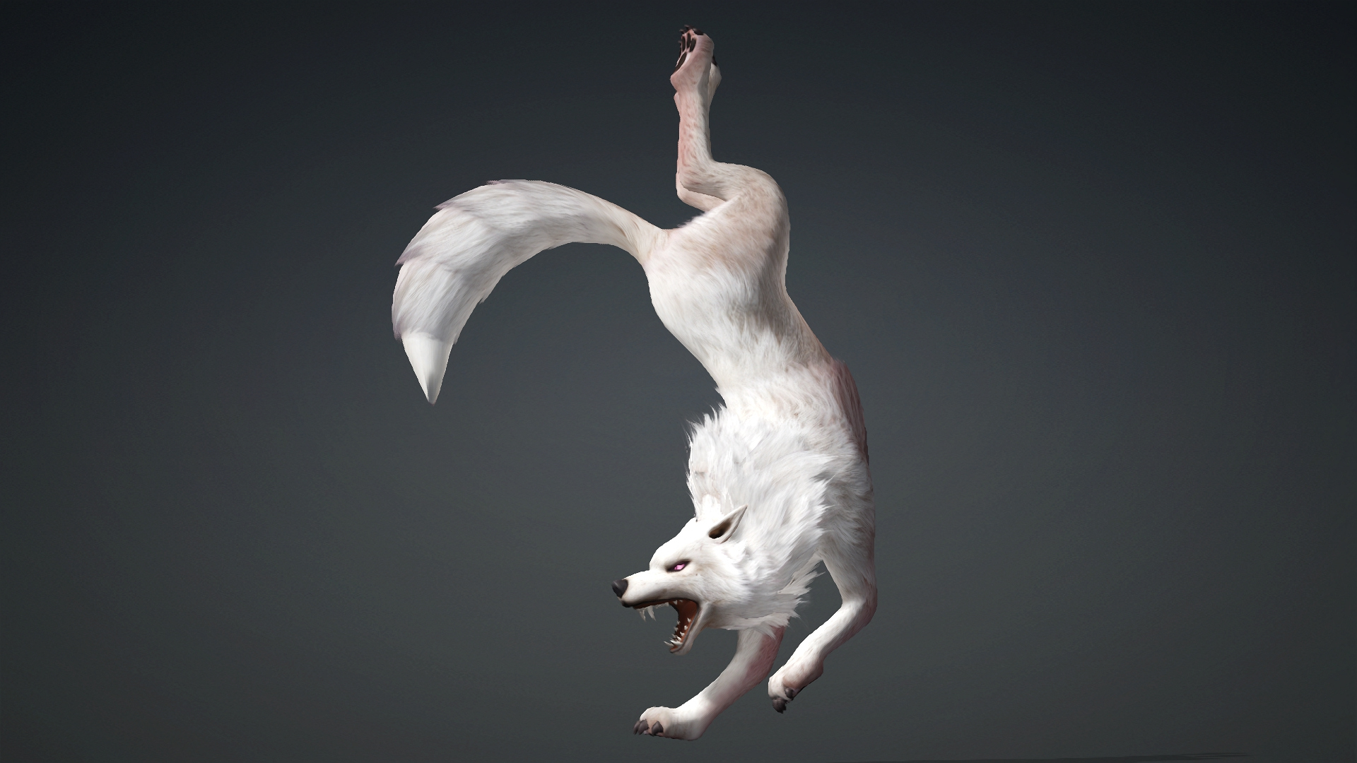 Wolf-C4-Animated 3D Model