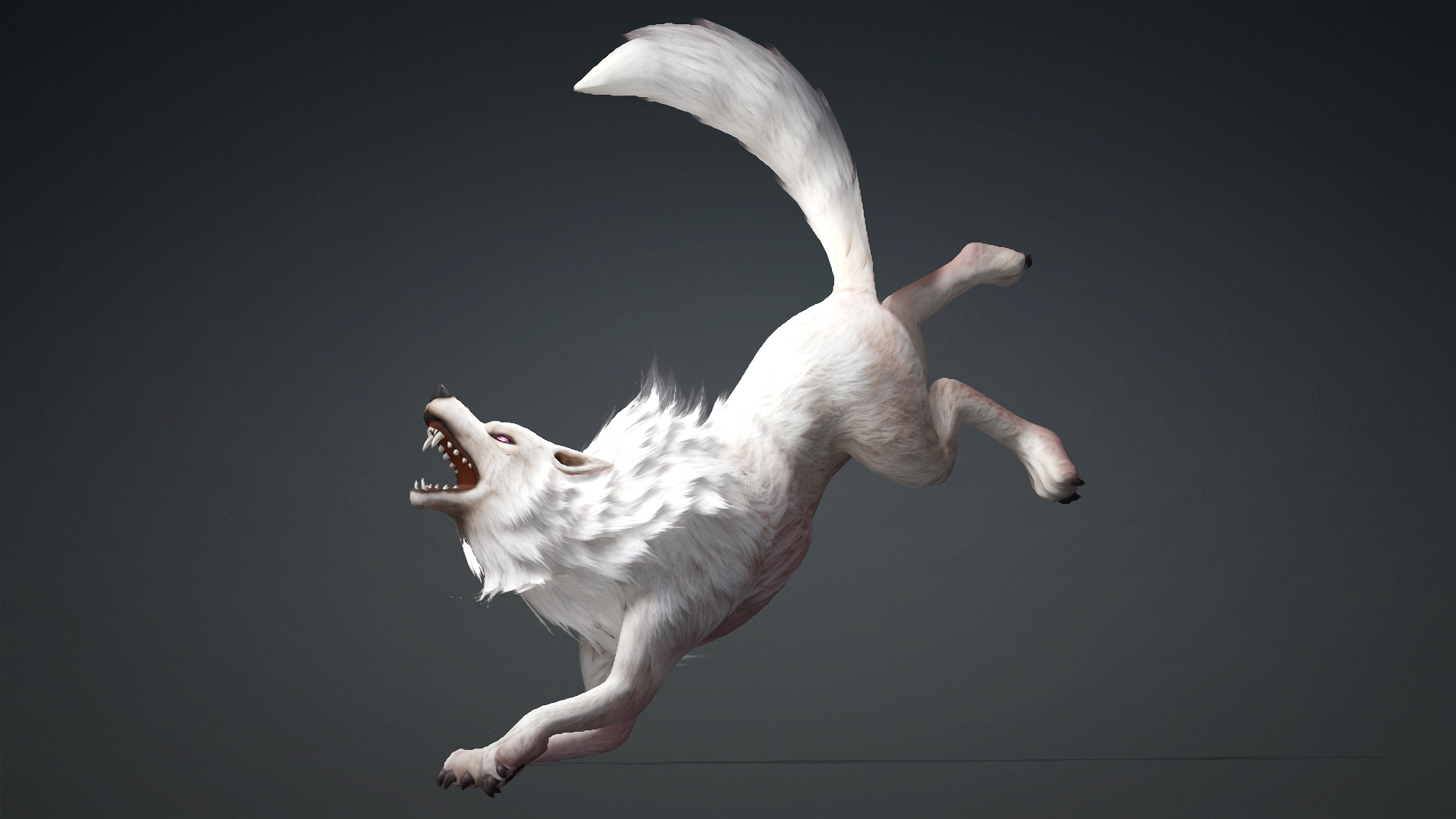 Wolf-C4-Animated 3D Model