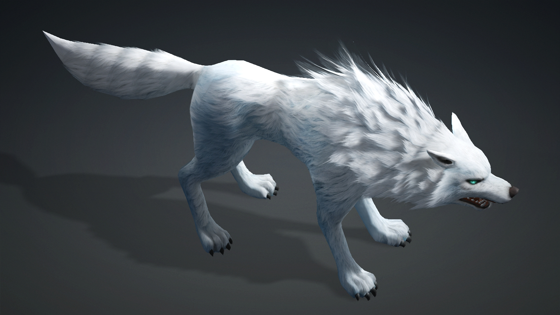 Wolf-C5-Animated 3D Model