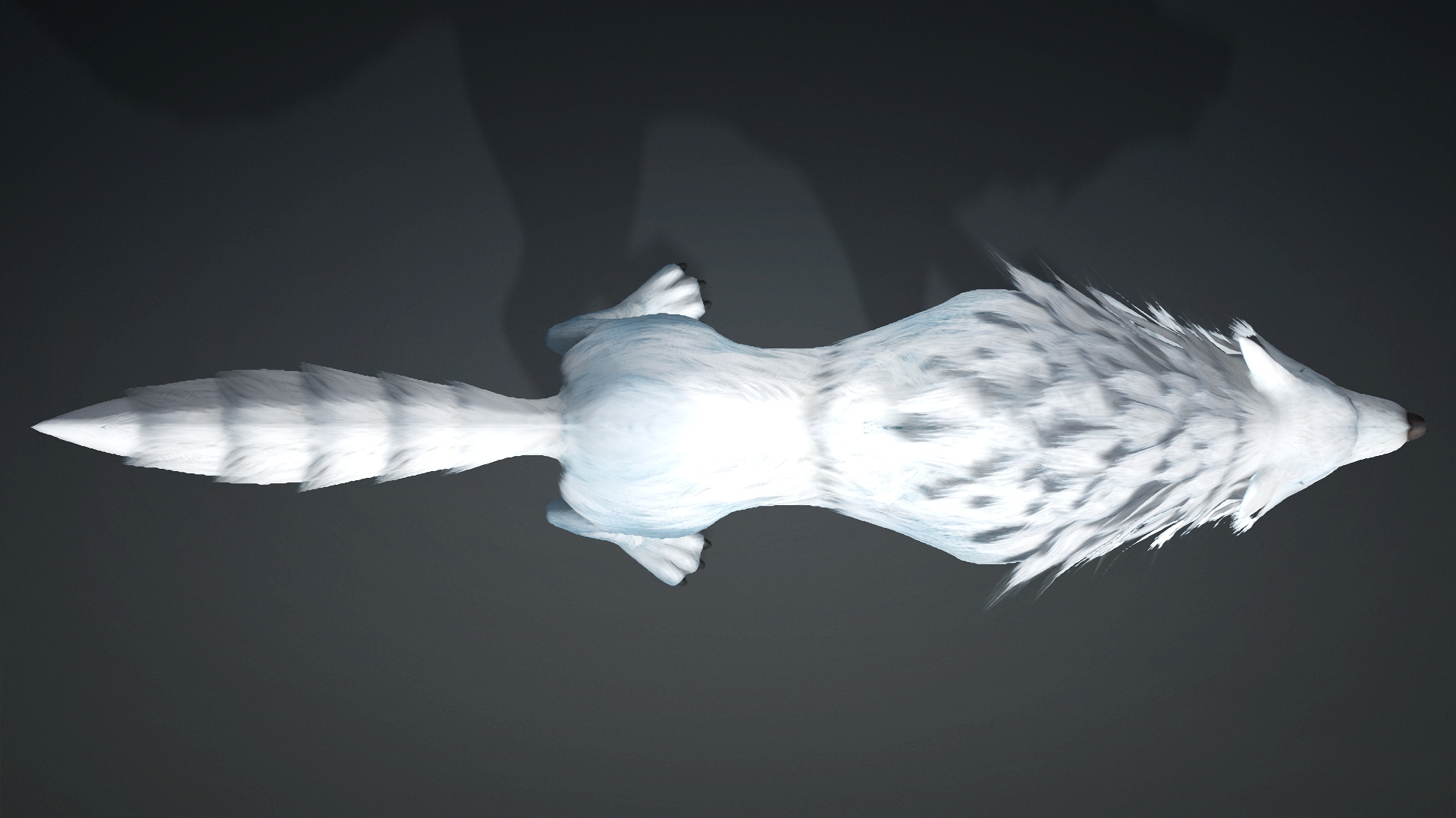 Wolf-C5-Animated 3D Model