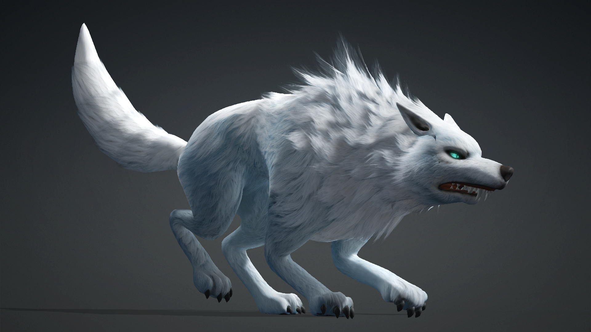 Wolf-C5-Animated 3D Model