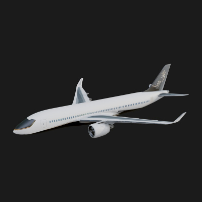 Airliner Plane Model Design 14 3D Print Model