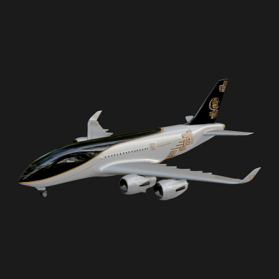 Airliner Plane Model Design 17 3D Print Model