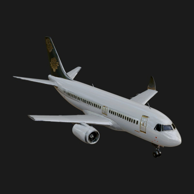 Airliner Plane Model Design 3 3D Print Model