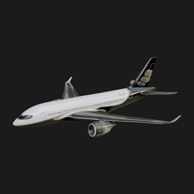 Airliner Plane Model Design 9 3D Print Model