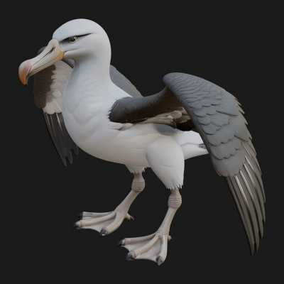 Albatross Bird Statue Design 4 3D Print Model