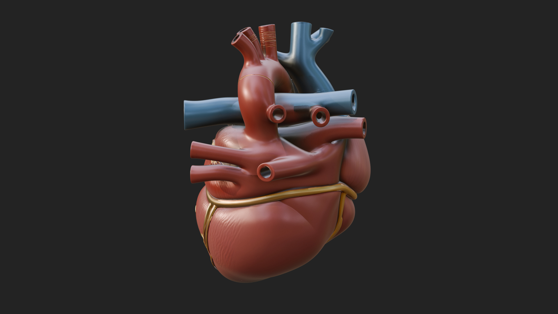 Anatomical Human Heart Model Design 10 3D Print Model 3D Model