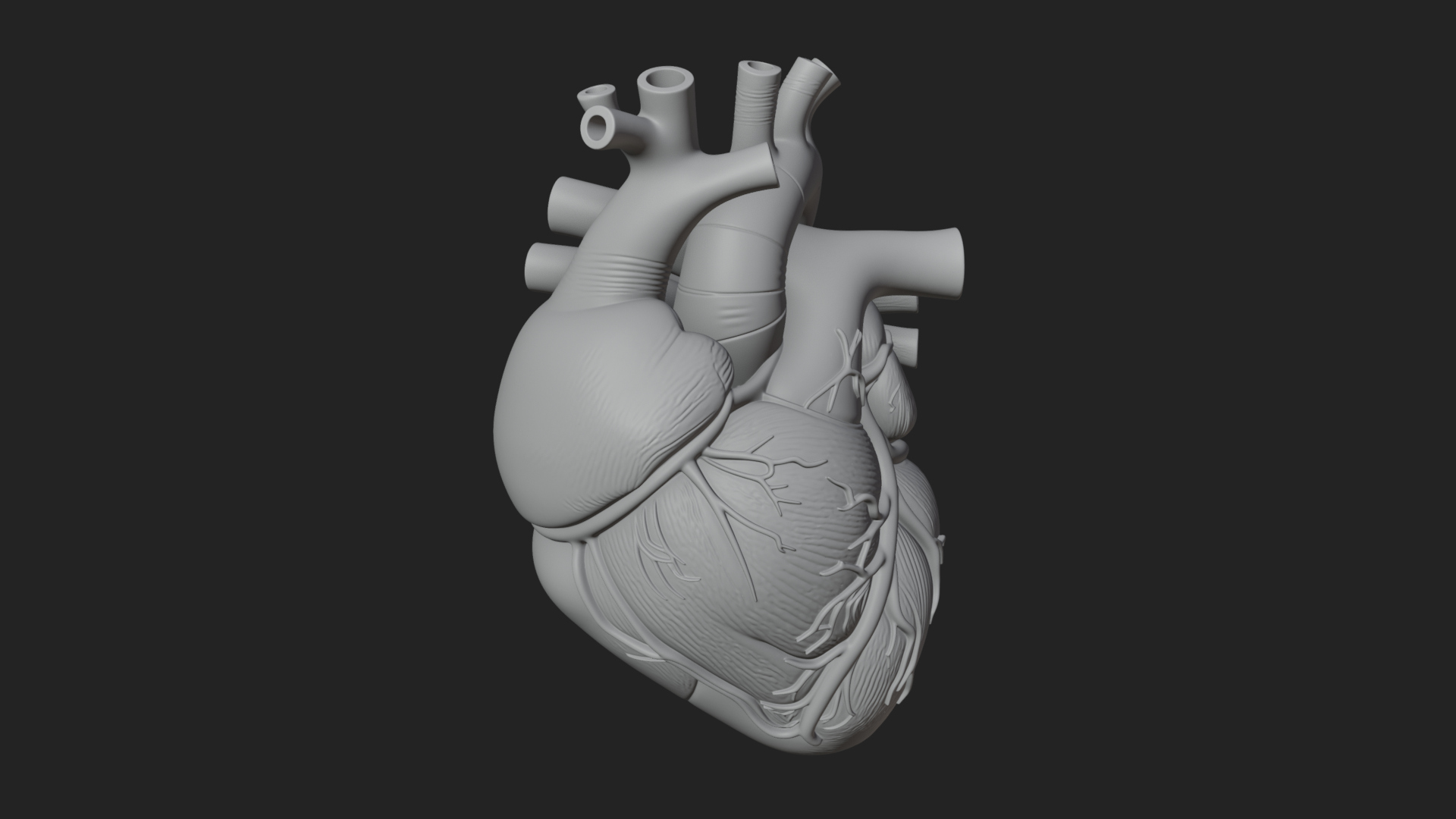 Anatomical Human Heart Model Design 10 3D Print Model 3D Model