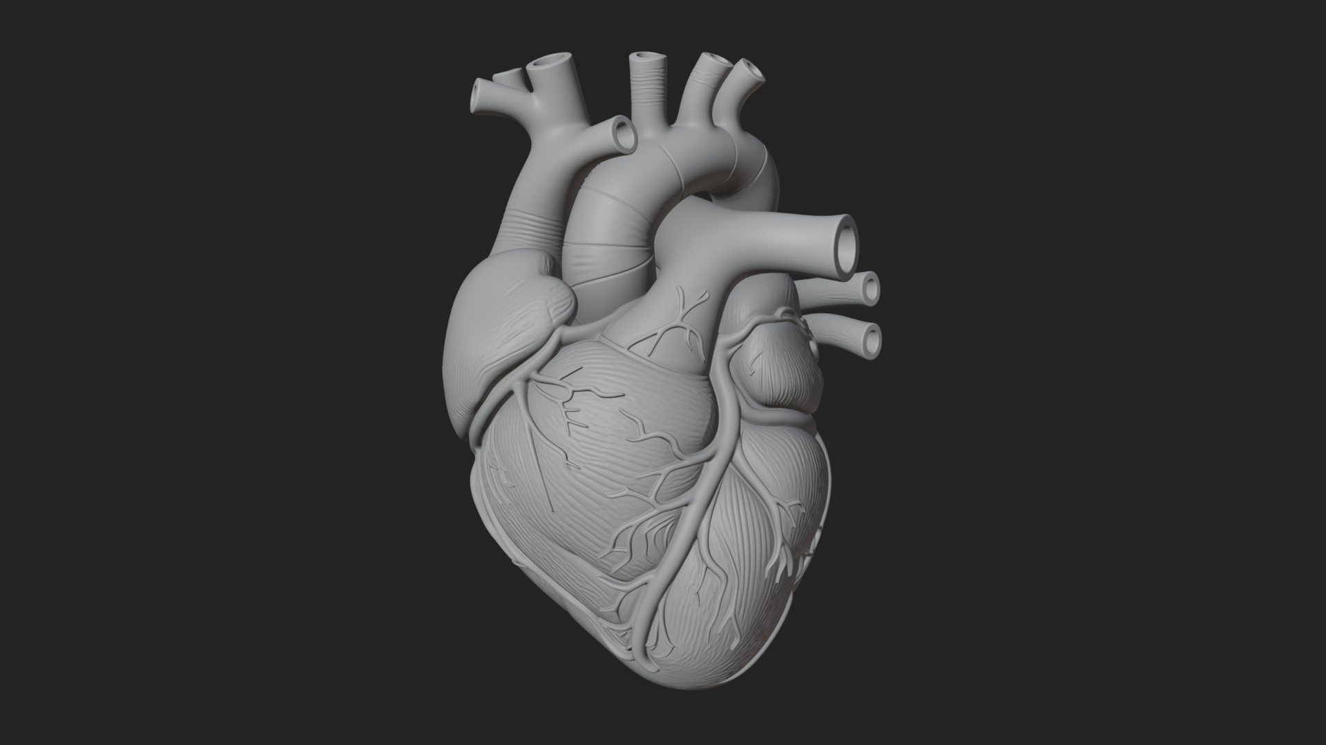 Anatomical Human Heart Model Design 10 3D Print Model 3D Model