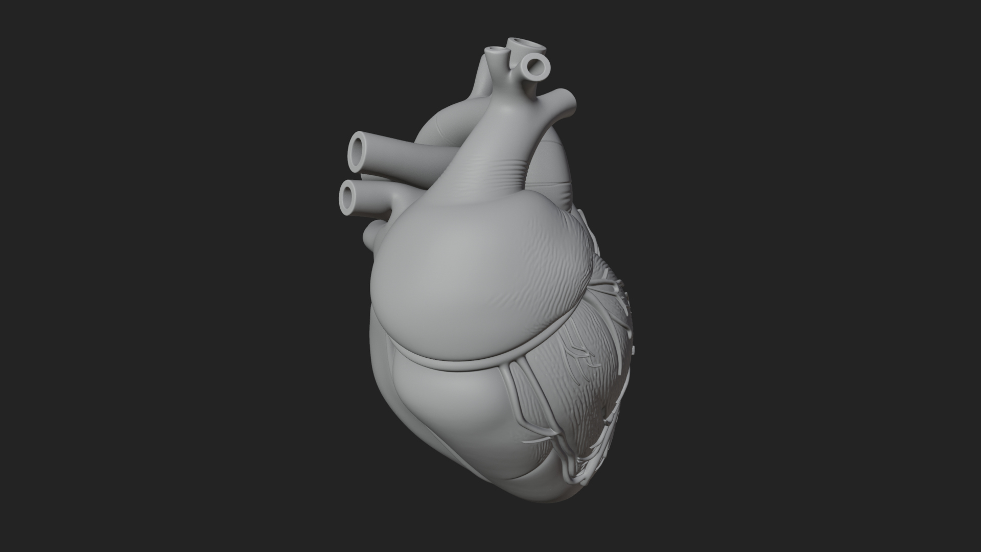 Anatomical Human Heart Model Design 10 3D Print Model 3D Model