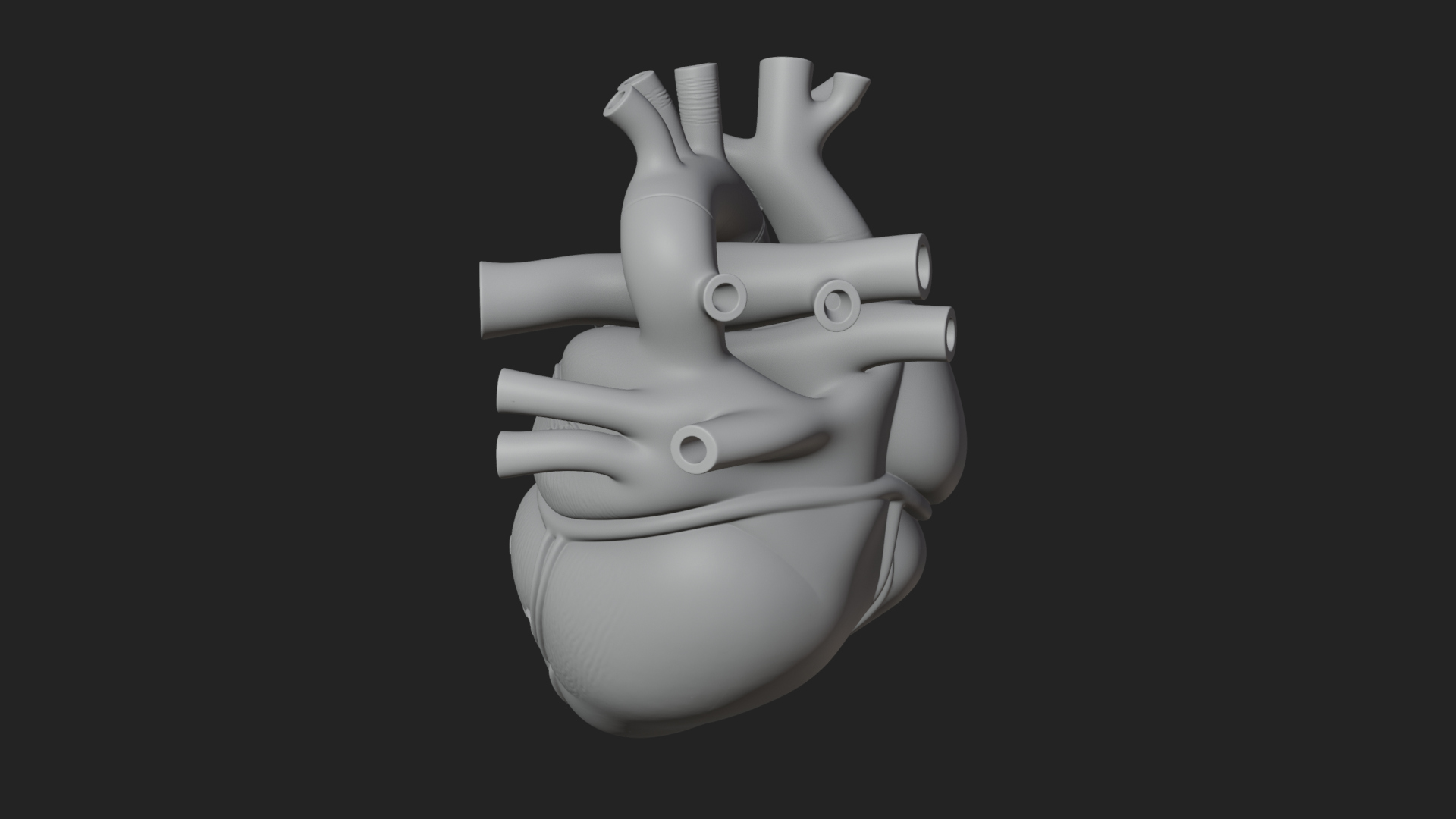 Anatomical Human Heart Model Design 10 3D Print Model 3D Model