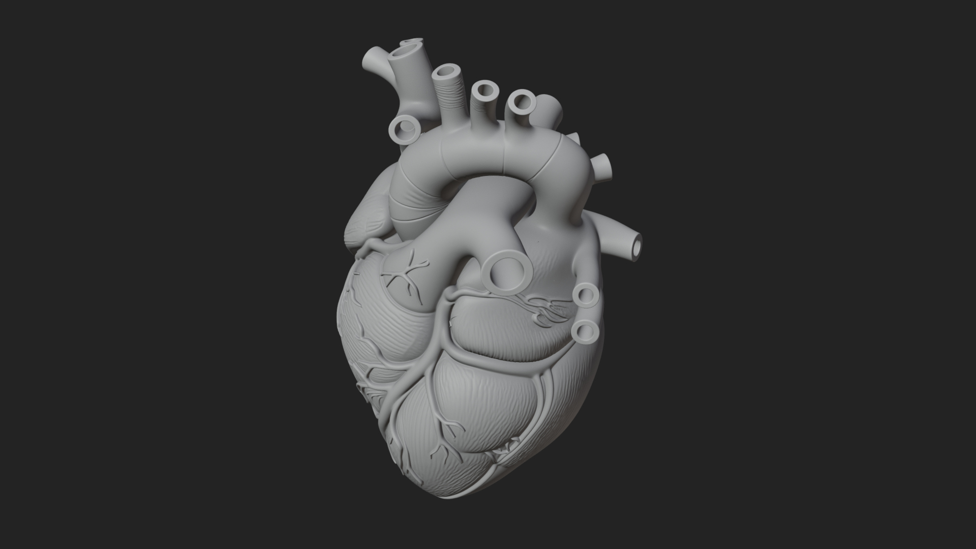 Anatomical Human Heart Model Design 10 3D Print Model 3D Model