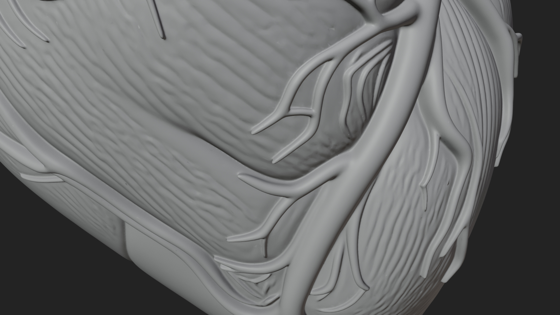Anatomical Human Heart Model Design 10 3D Print Model 3D Model
