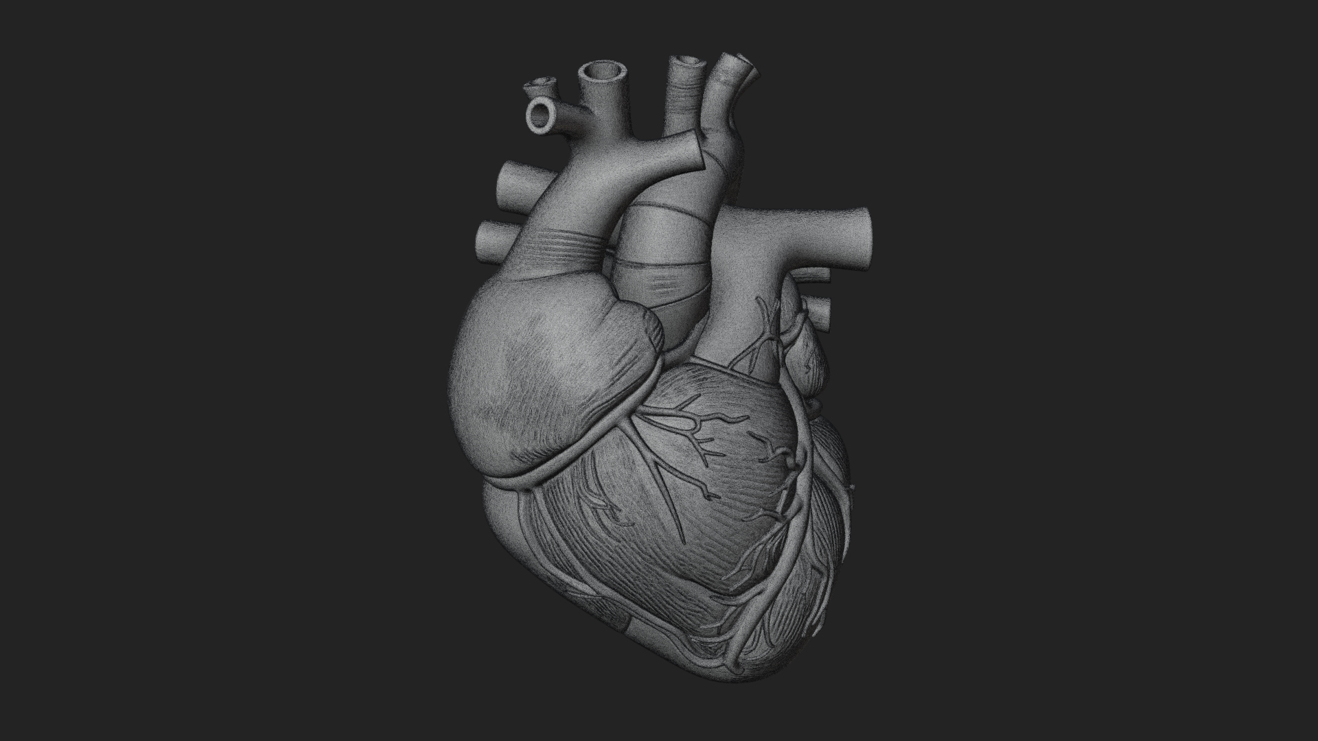Anatomical Human Heart Model Design 10 3D Print Model 3D Model