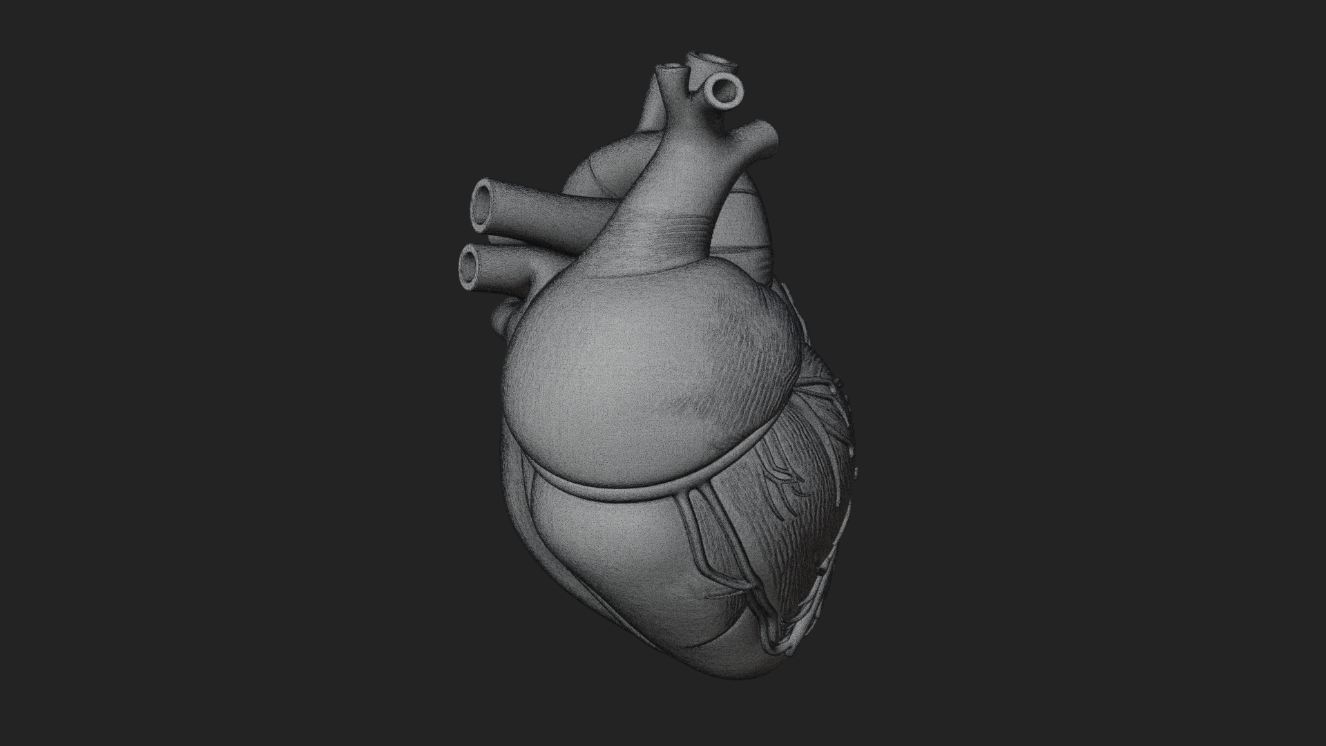 Anatomical Human Heart Model Design 10 3D Print Model 3D Model