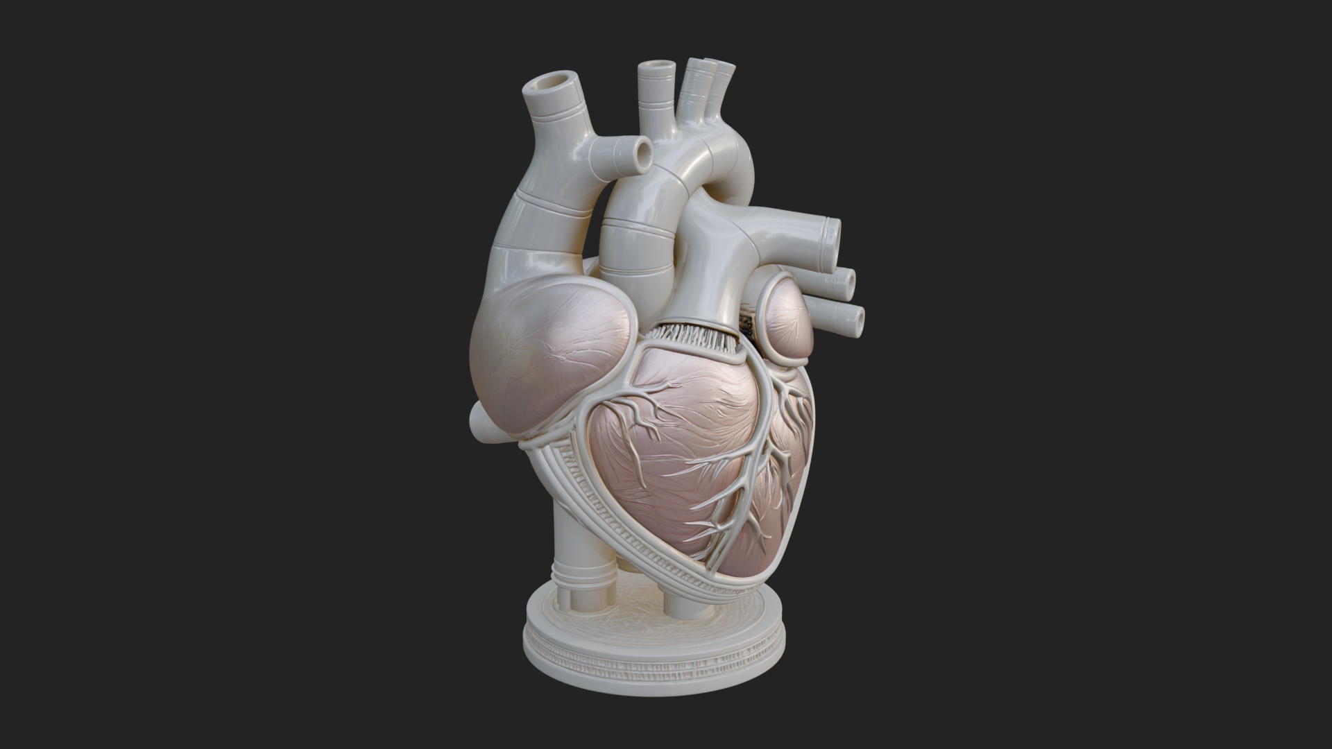 Anatomical Human Heart Model Design 12 3D Print Model 3D Model