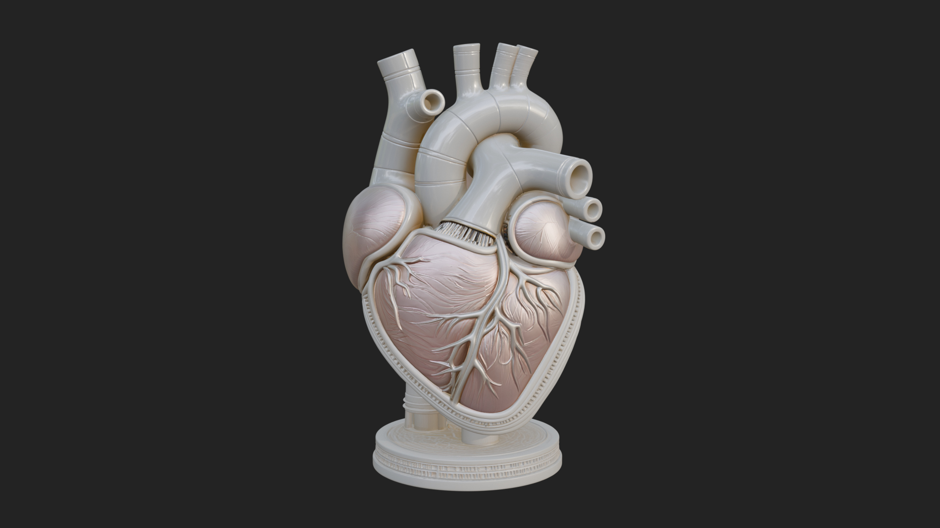 Anatomical Human Heart Model Design 12 3D Print Model 3D Model