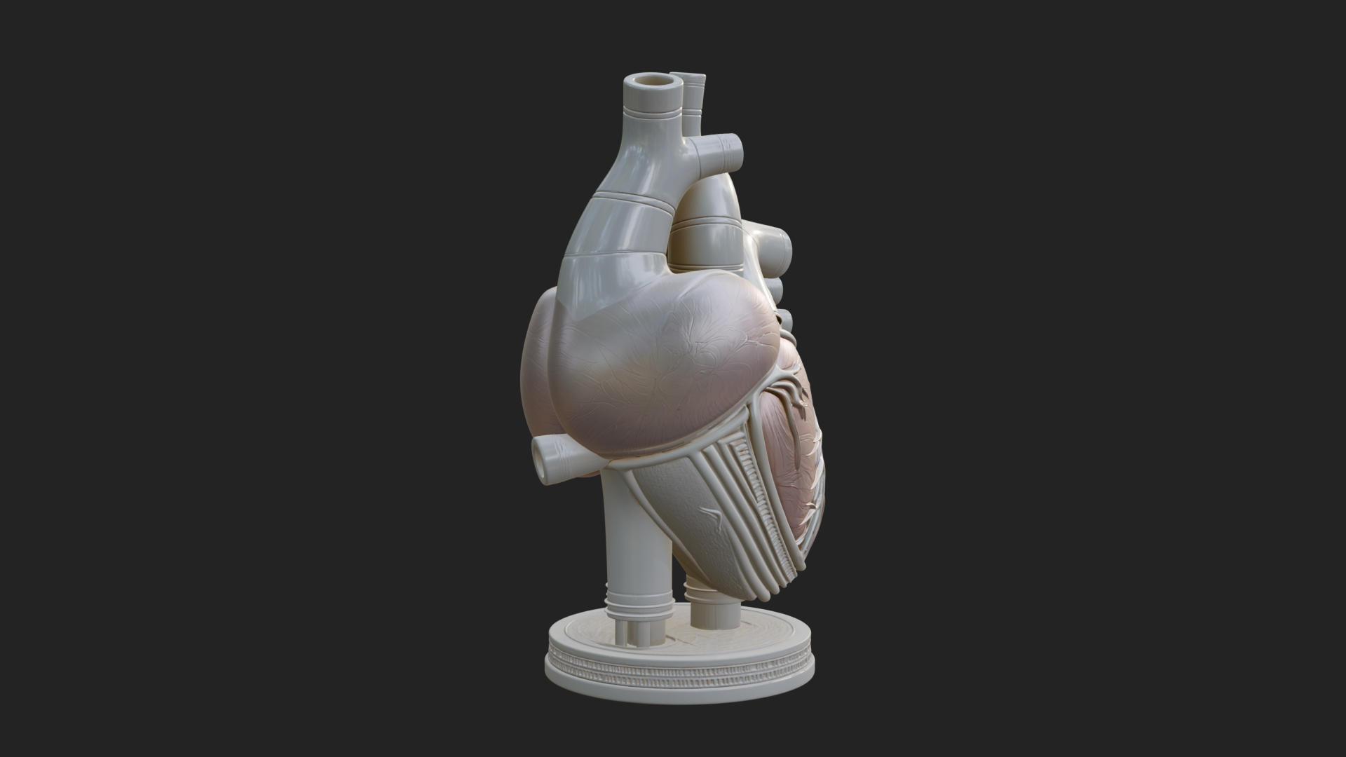Anatomical Human Heart Model Design 12 3D Print Model 3D Model