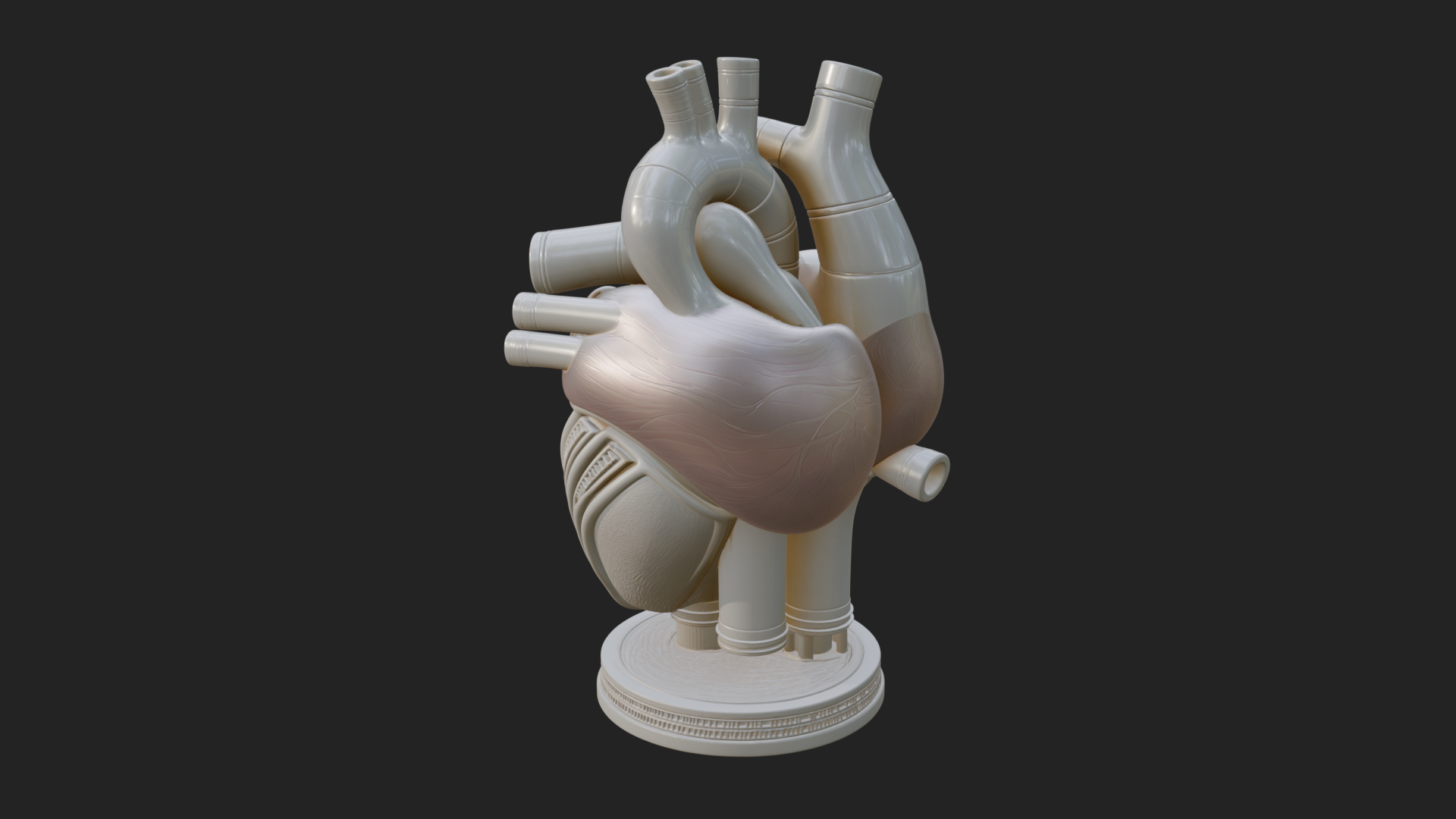 Anatomical Human Heart Model Design 12 3D Print Model 3D Model
