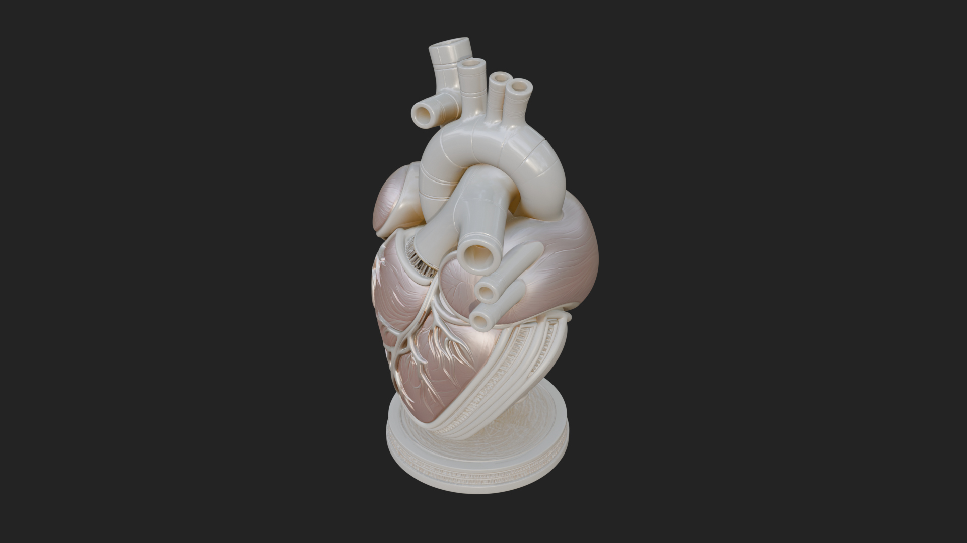 Anatomical Human Heart Model Design 12 3D Print Model 3D Model