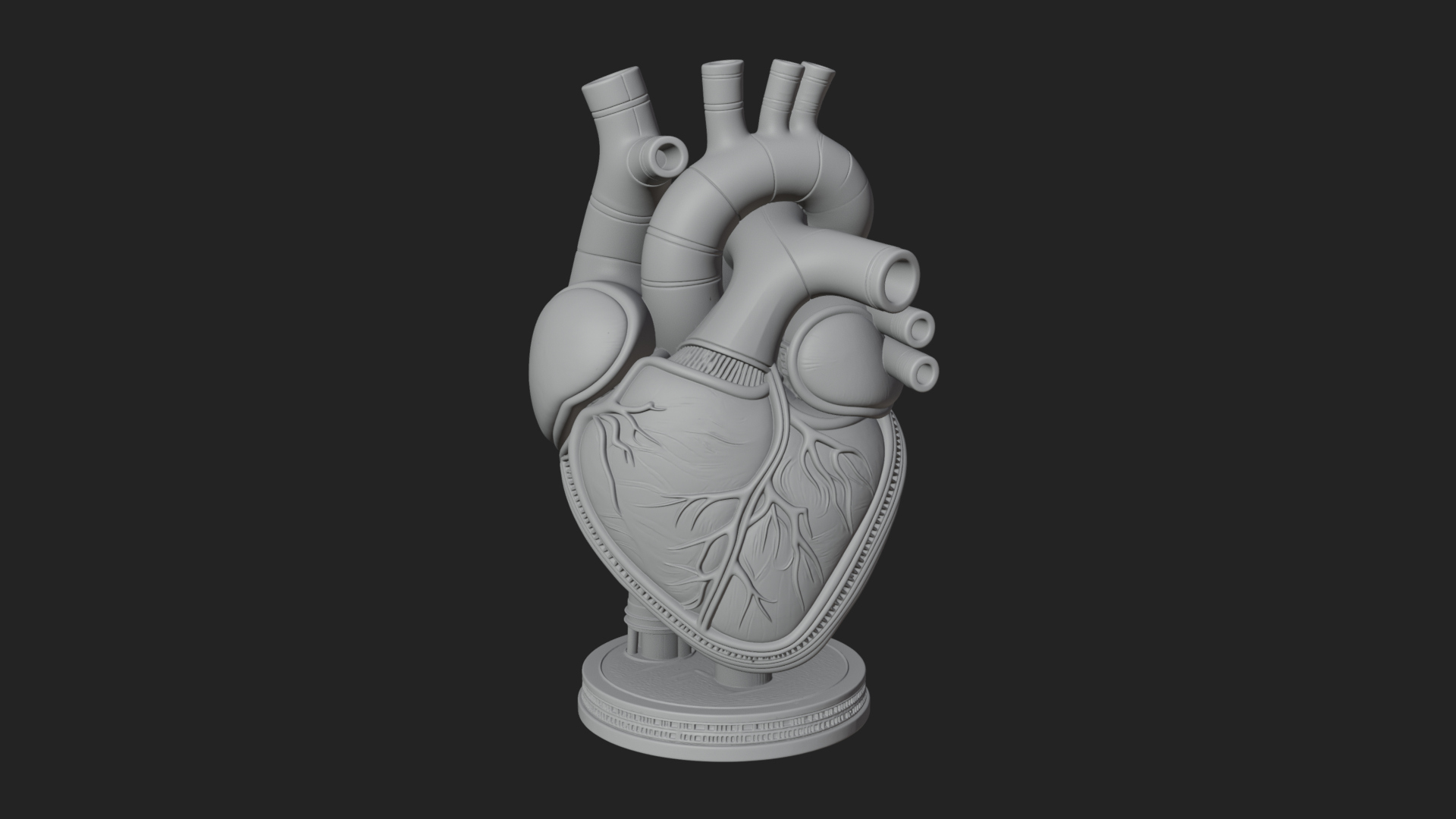 Anatomical Human Heart Model Design 12 3D Print Model 3D Model