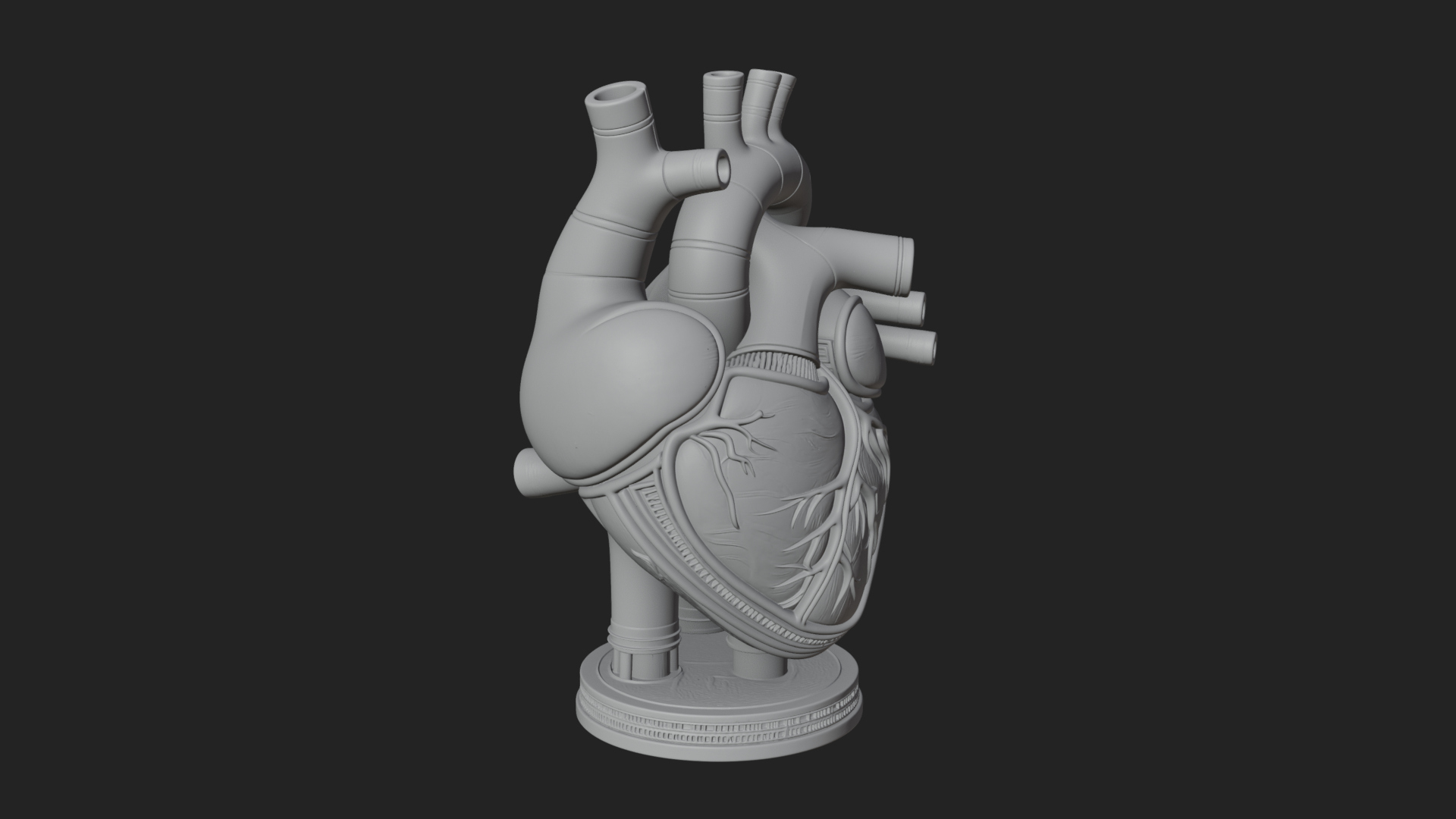 Anatomical Human Heart Model Design 12 3D Print Model 3D Model