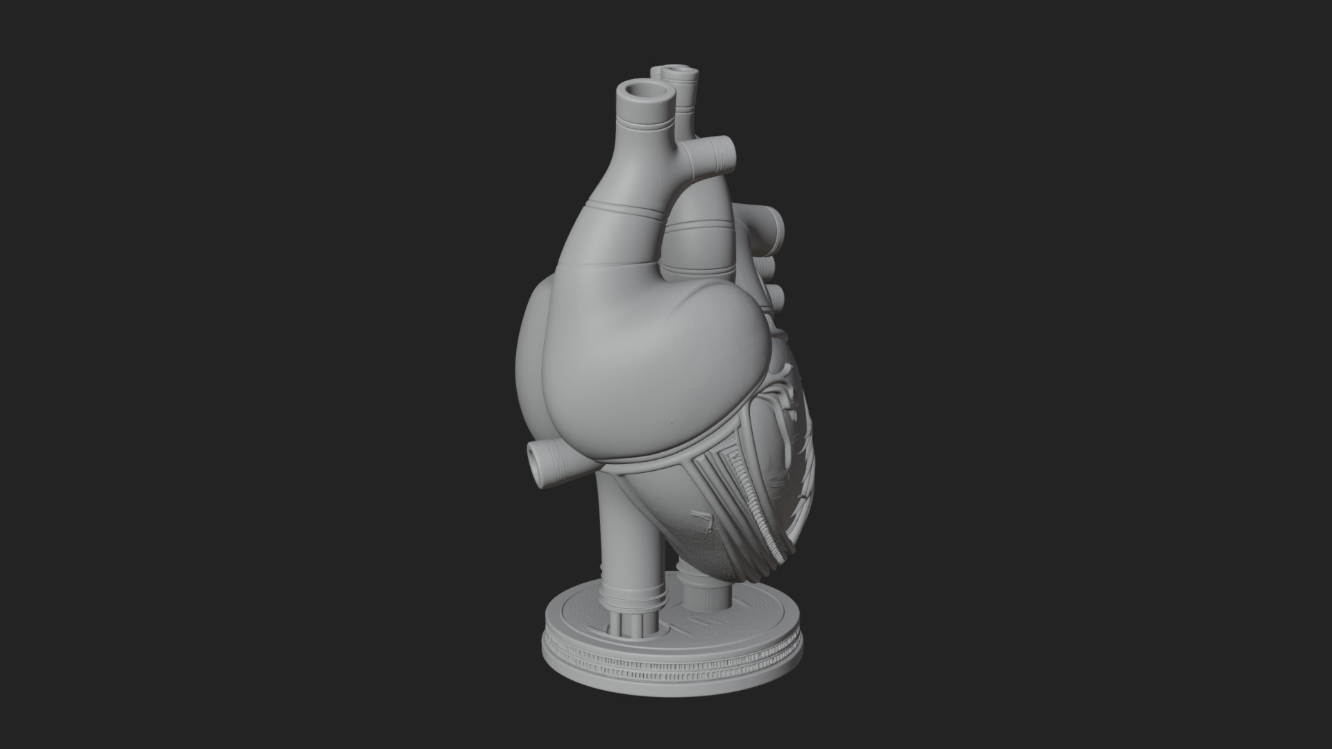Anatomical Human Heart Model Design 12 3D Print Model 3D Model