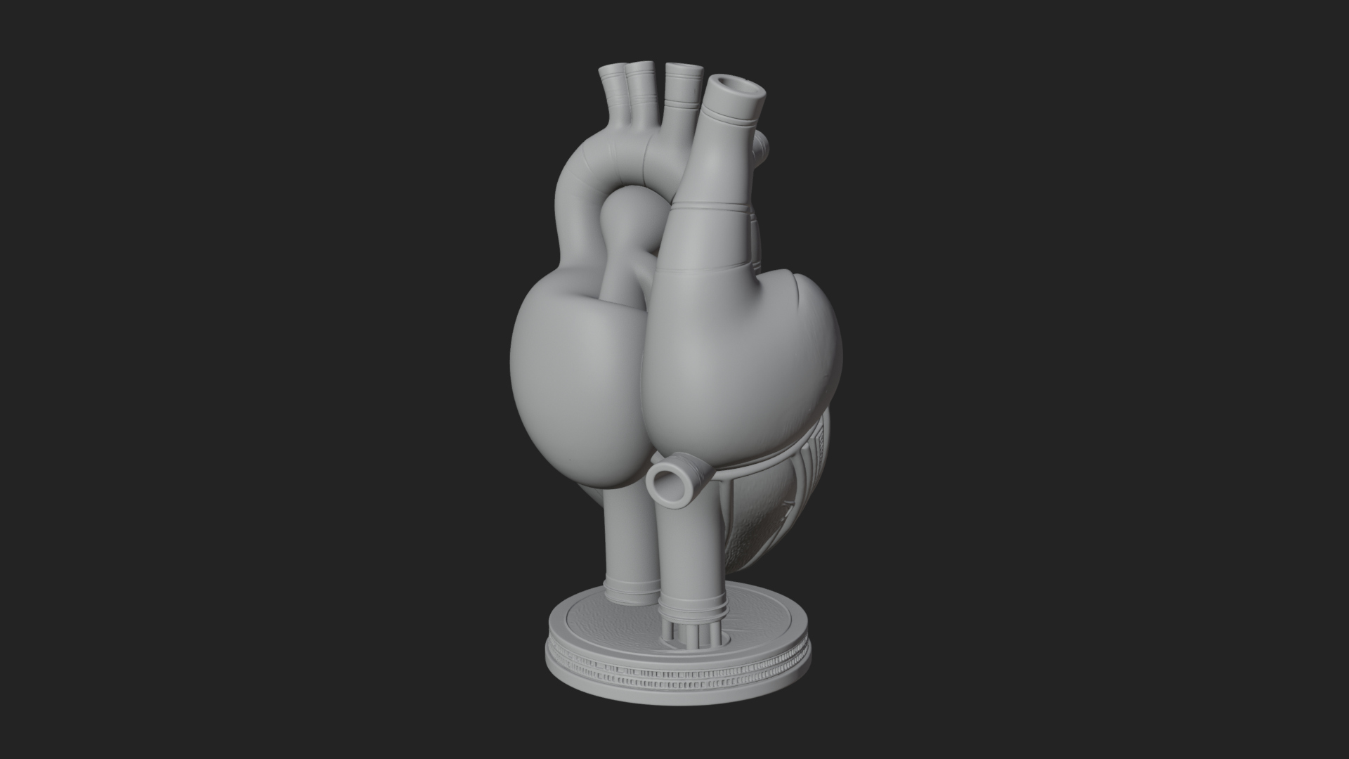 Anatomical Human Heart Model Design 12 3D Print Model 3D Model