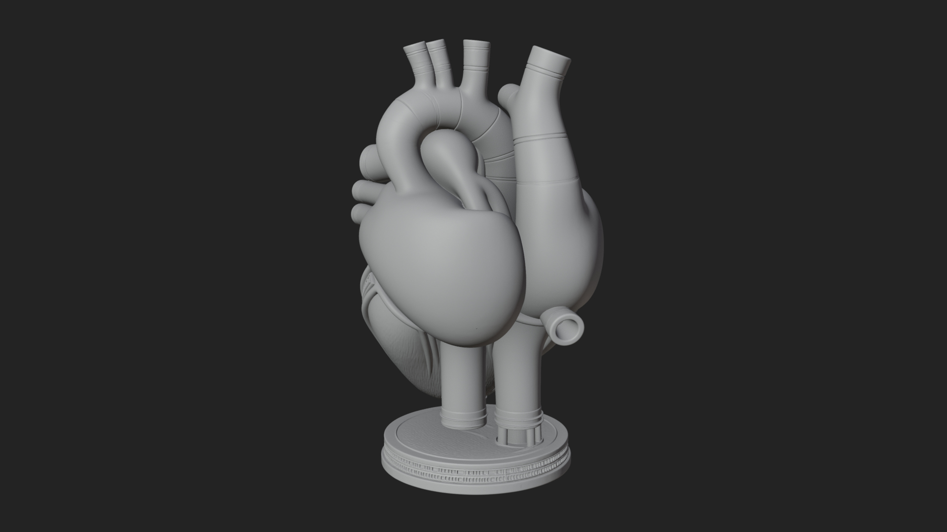 Anatomical Human Heart Model Design 12 3D Print Model 3D Model