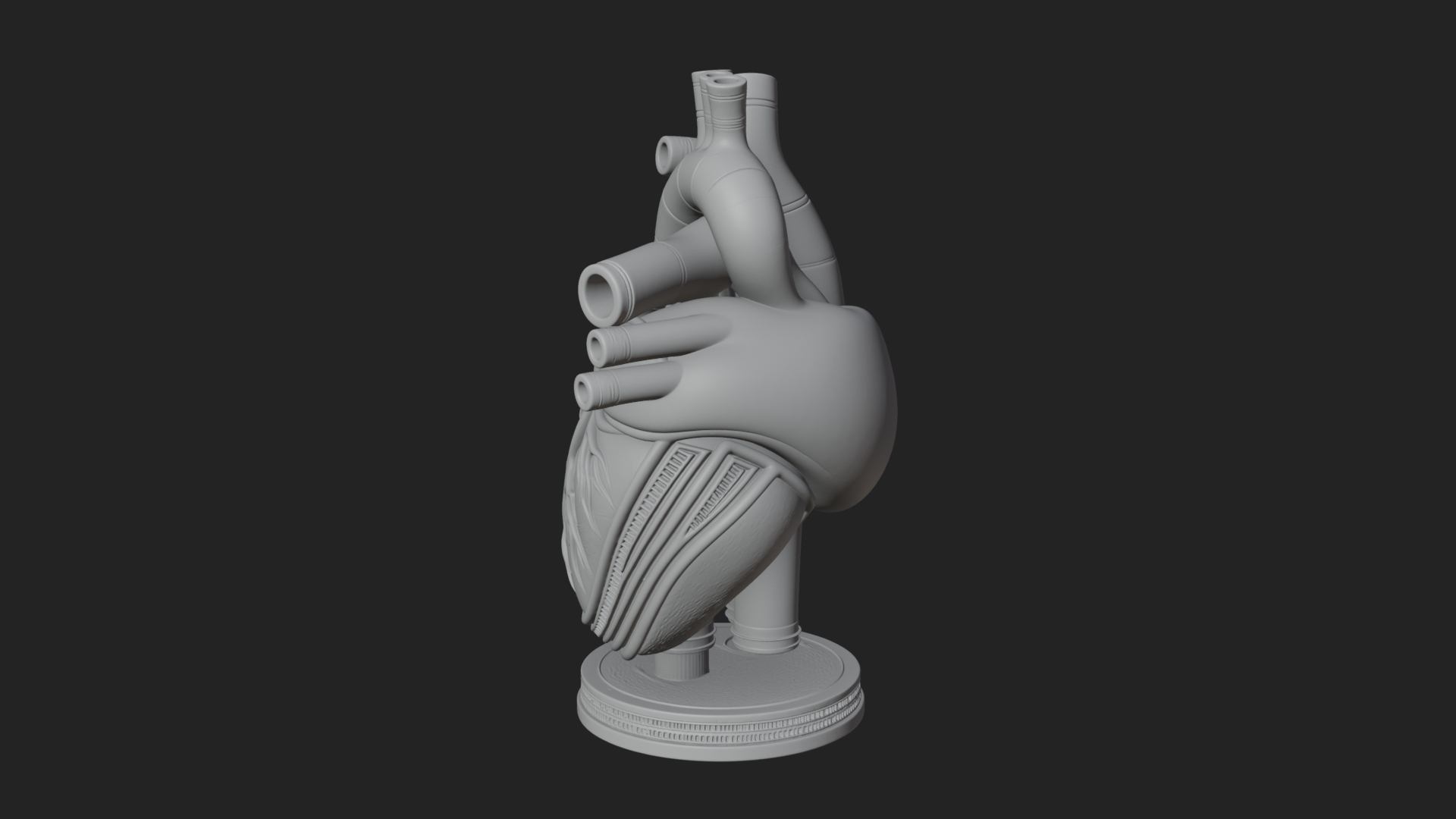 Anatomical Human Heart Model Design 12 3D Print Model 3D Model