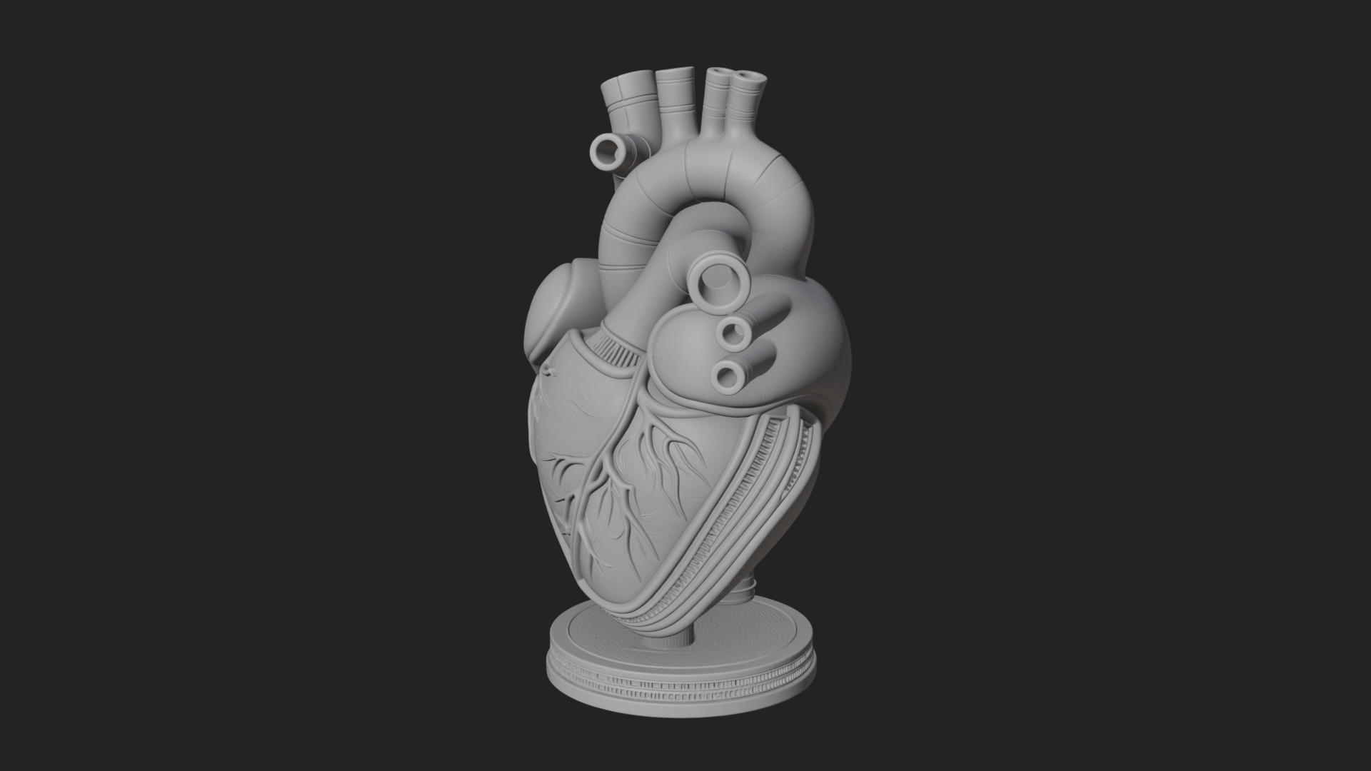 Anatomical Human Heart Model Design 12 3D Print Model 3D Model
