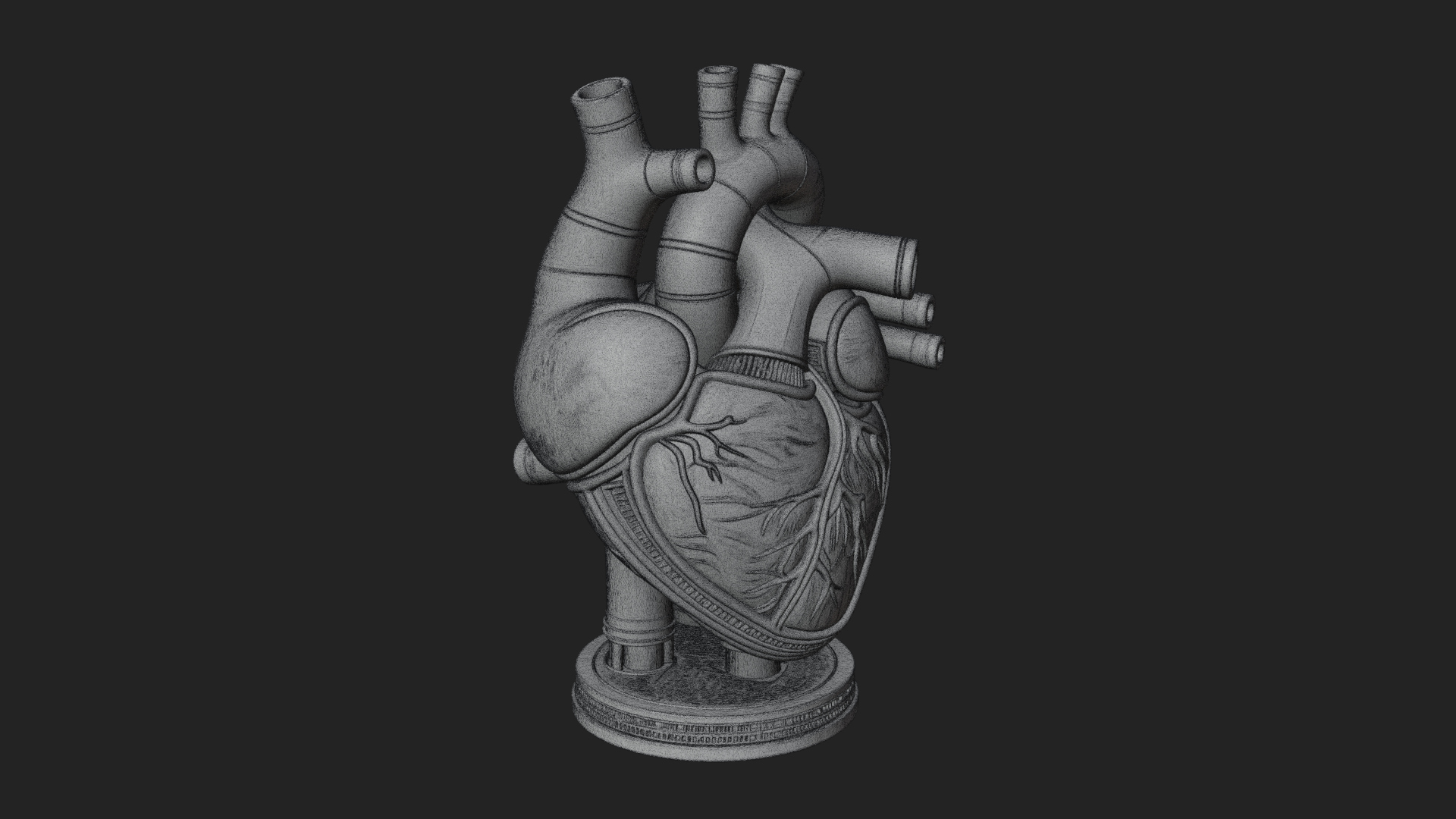 Anatomical Human Heart Model Design 12 3D Print Model 3D Model