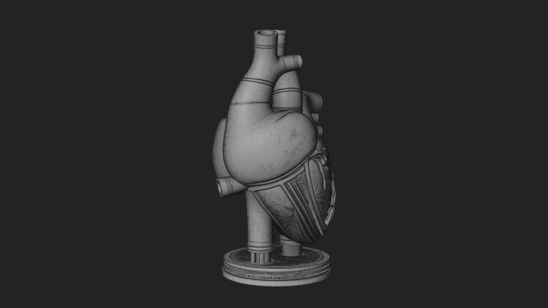 Anatomical Human Heart Model Design 12 3D Print Model 3D Model
