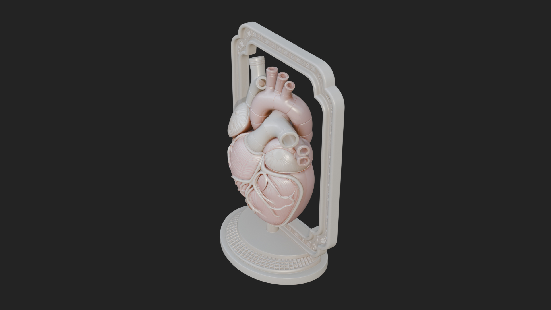 Anatomical Human Heart Model Design 14 3D Print Model 3D Model