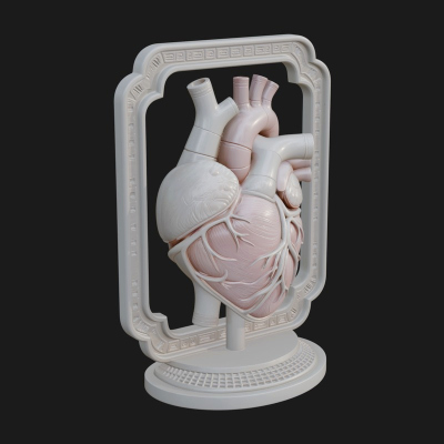 Anatomical Human Heart Model Design 14 3D Print Model