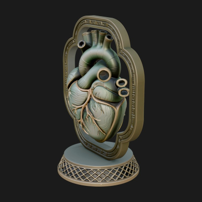 Anatomical Human Heart Model Design 15 3D Print Model