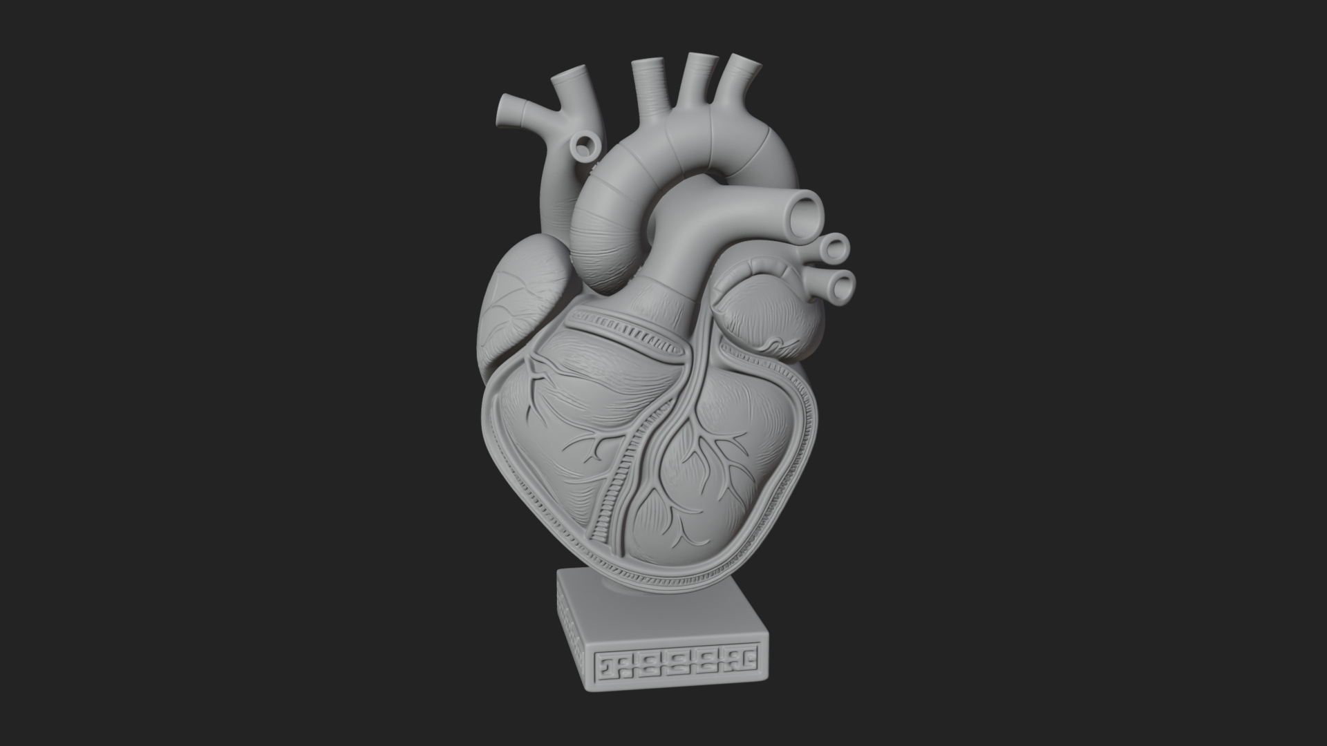 Anatomical Human Heart Model Design 17 3D Print Model 3D Model