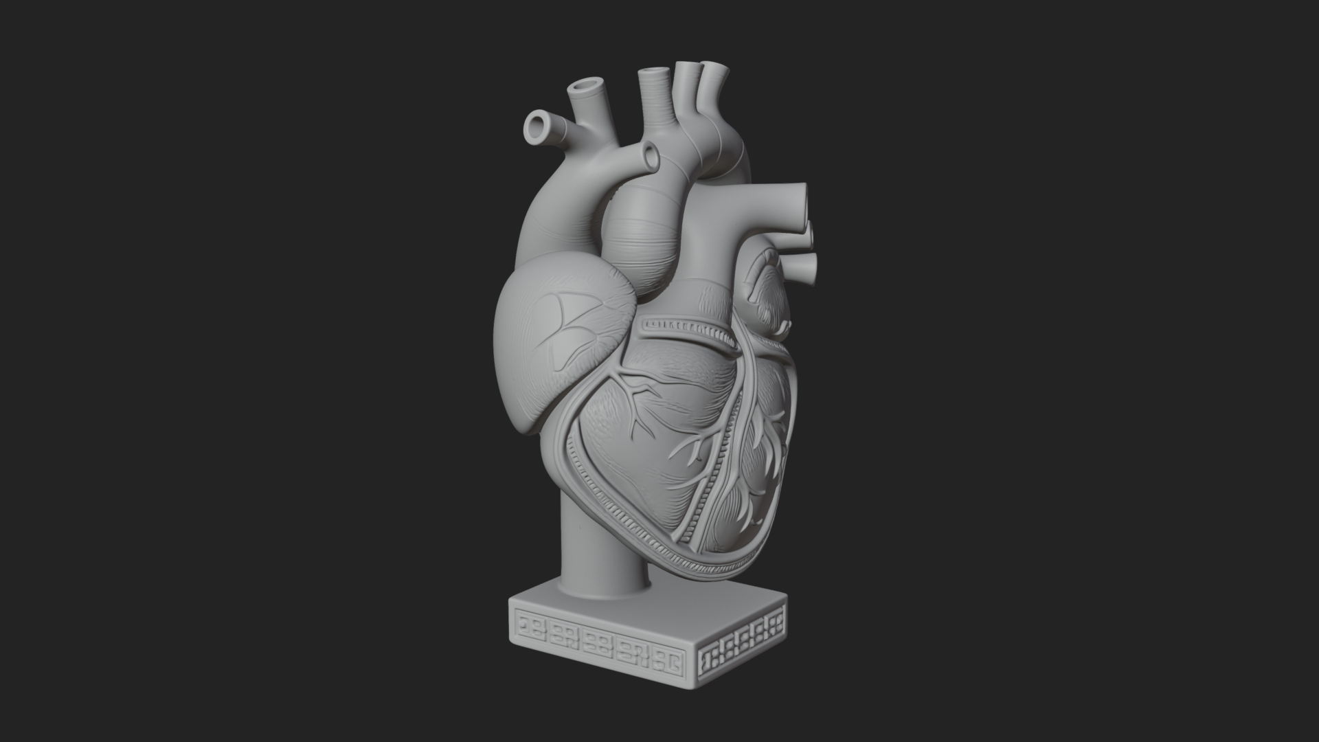Anatomical Human Heart Model Design 17 3D Print Model 3D Model