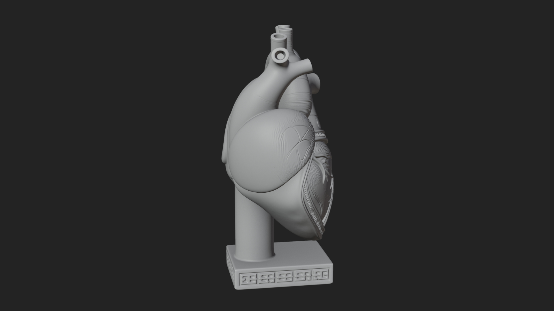 Anatomical Human Heart Model Design 17 3D Print Model 3D Model