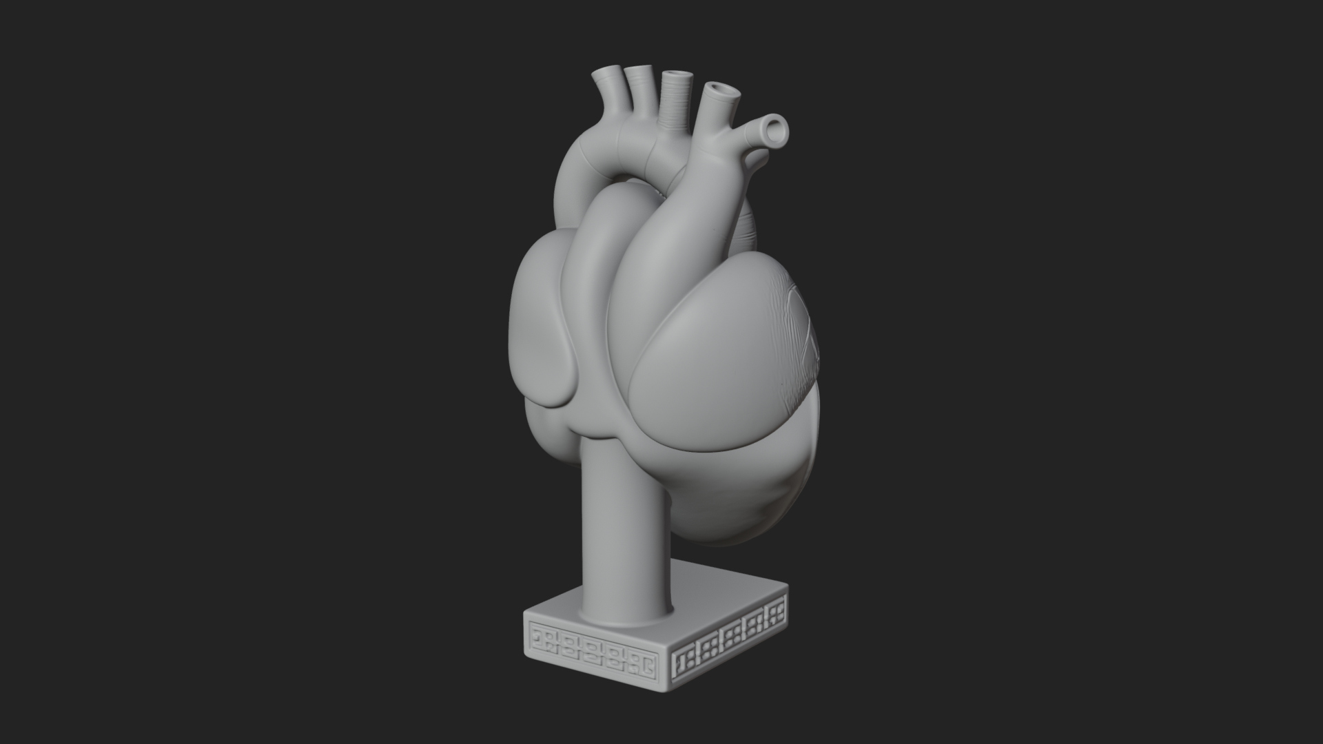 Anatomical Human Heart Model Design 17 3D Print Model 3D Model