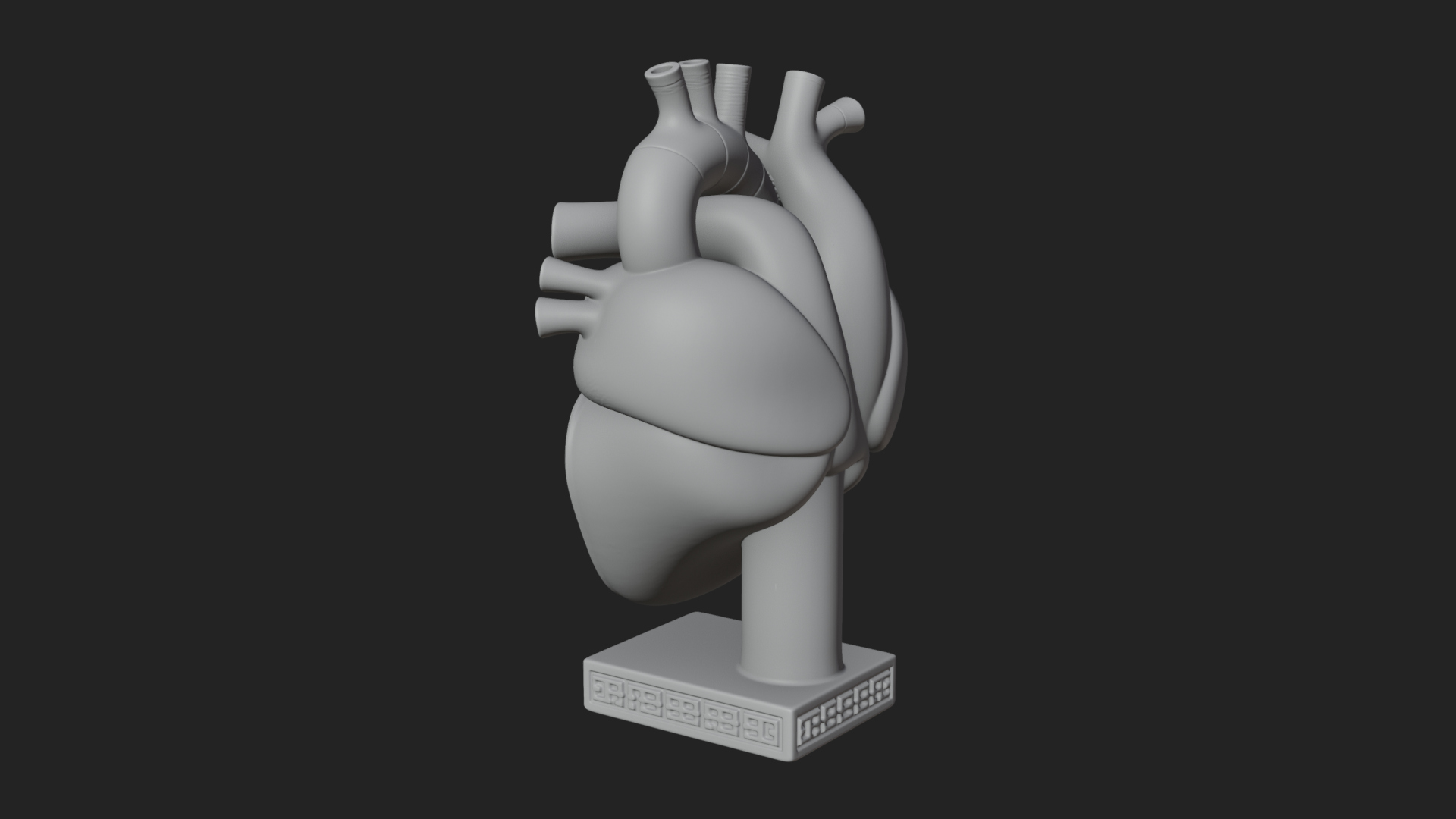 Anatomical Human Heart Model Design 17 3D Print Model 3D Model