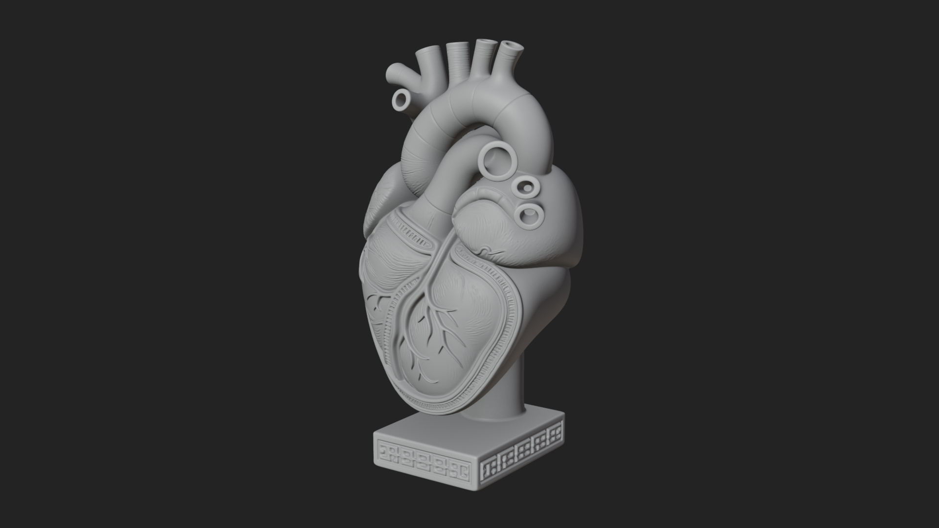 Anatomical Human Heart Model Design 17 3D Print Model 3D Model