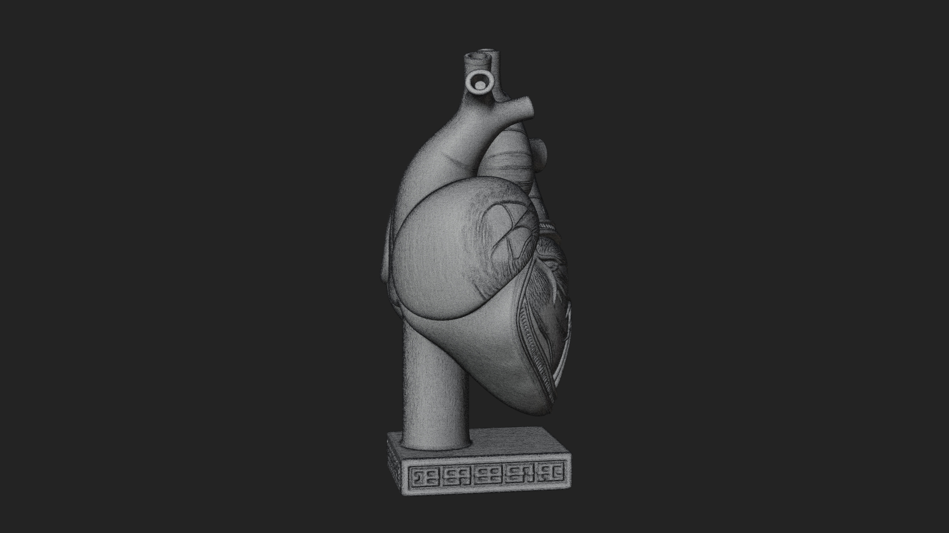 Anatomical Human Heart Model Design 17 3D Print Model 3D Model
