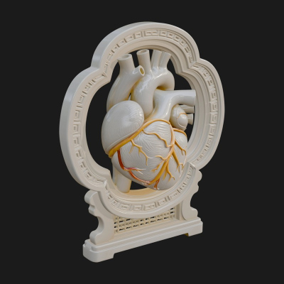 Anatomical Human Heart Model Design 20 3D Print Model
