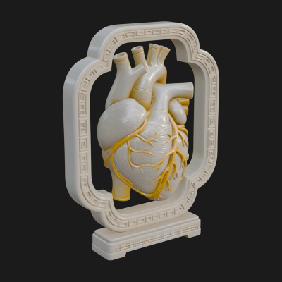 Anatomical Human Heart Model Design 21 3D Print Model